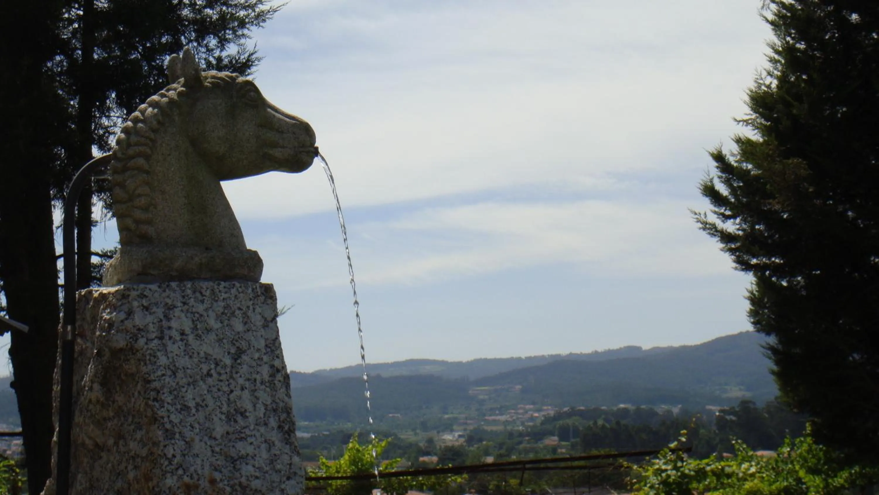 Property building in Hotel Quinta da Tulha By VimaHotels