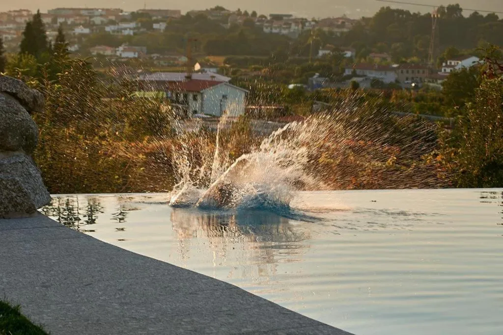 Swimming pool in Hotel Quinta da Tulha By VimaHotels