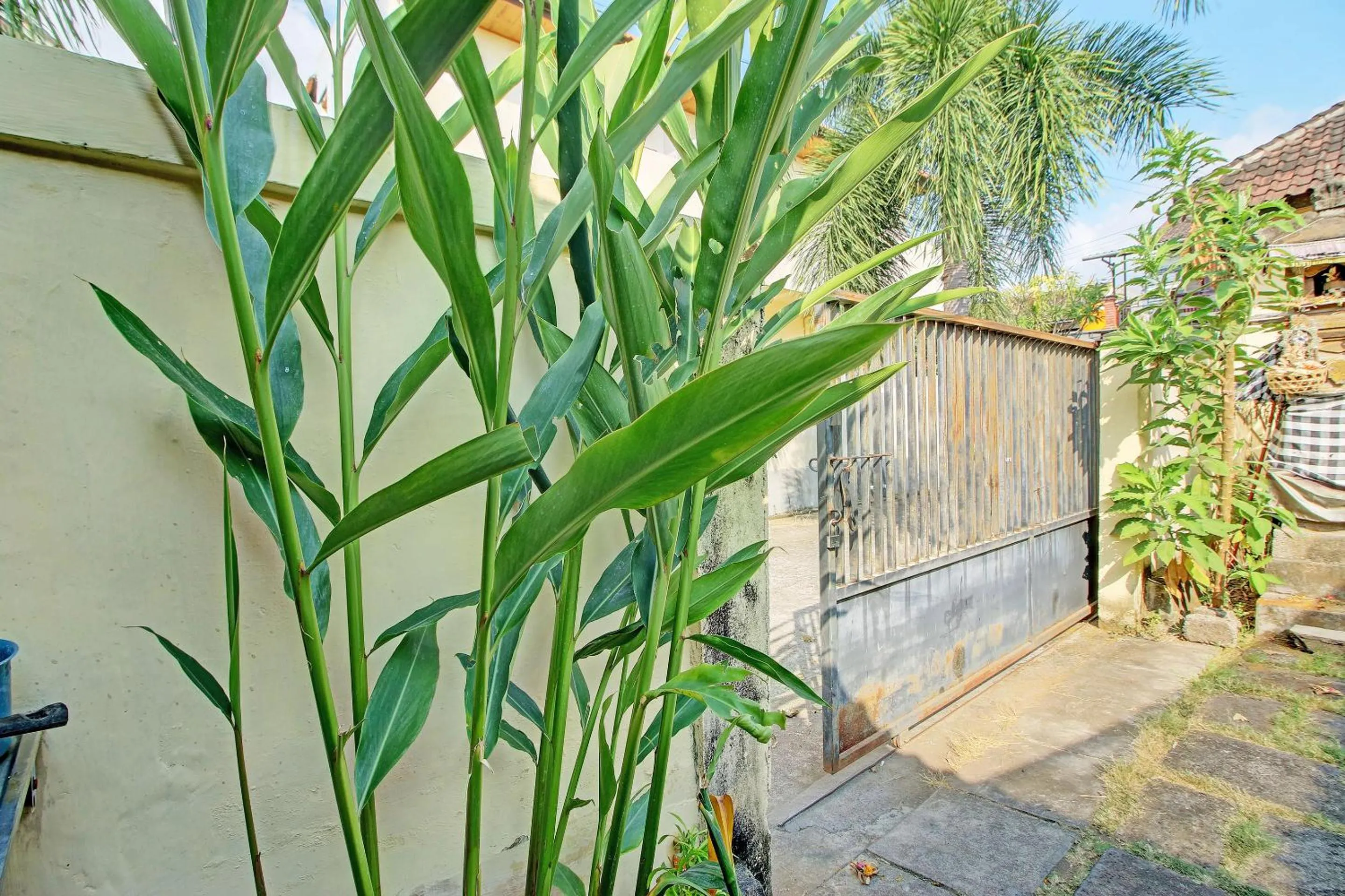 OYO Life 92954 Shanti Kost