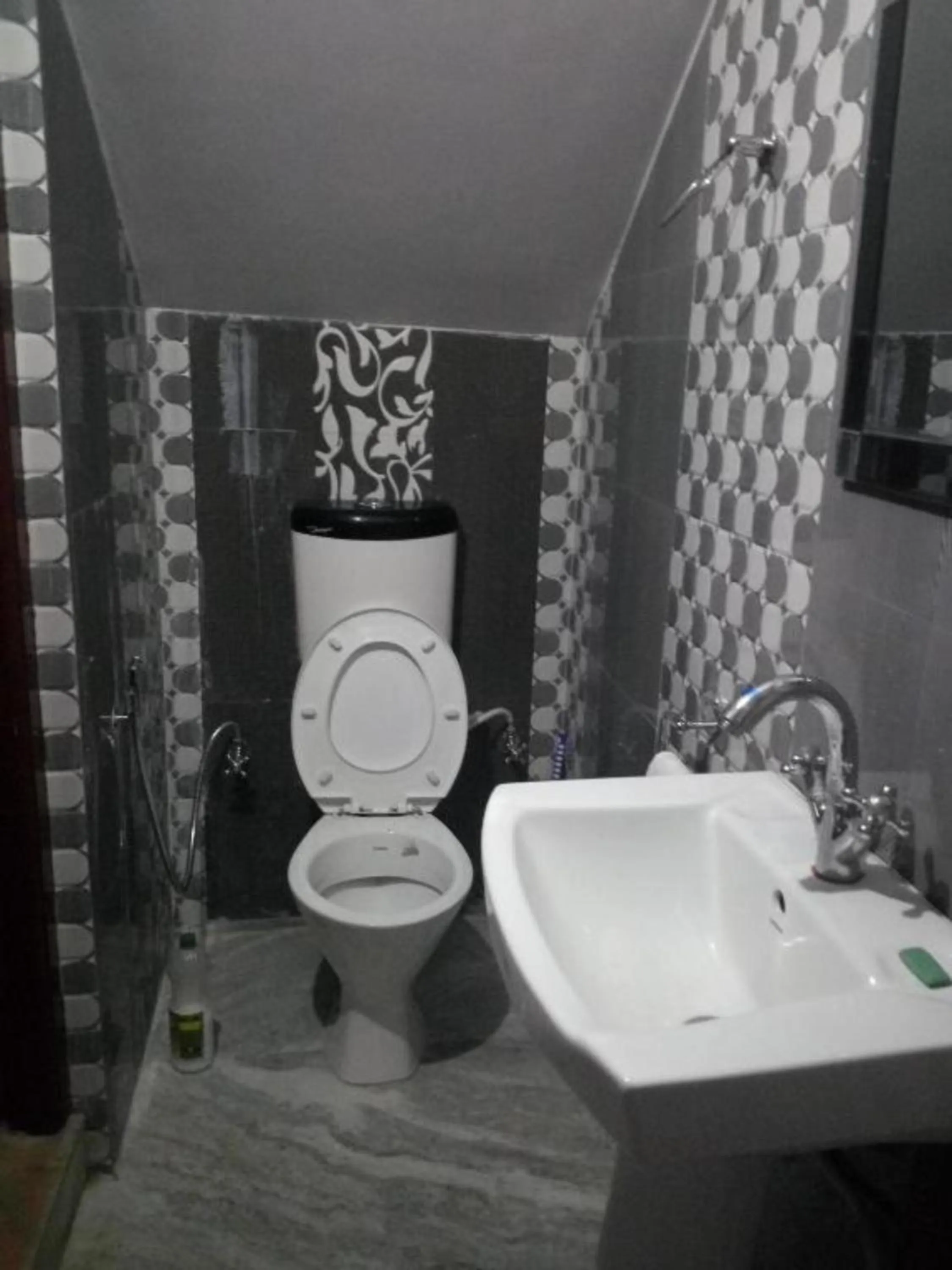 Toilet in GRG Tharbaling Homestay Darjeeling