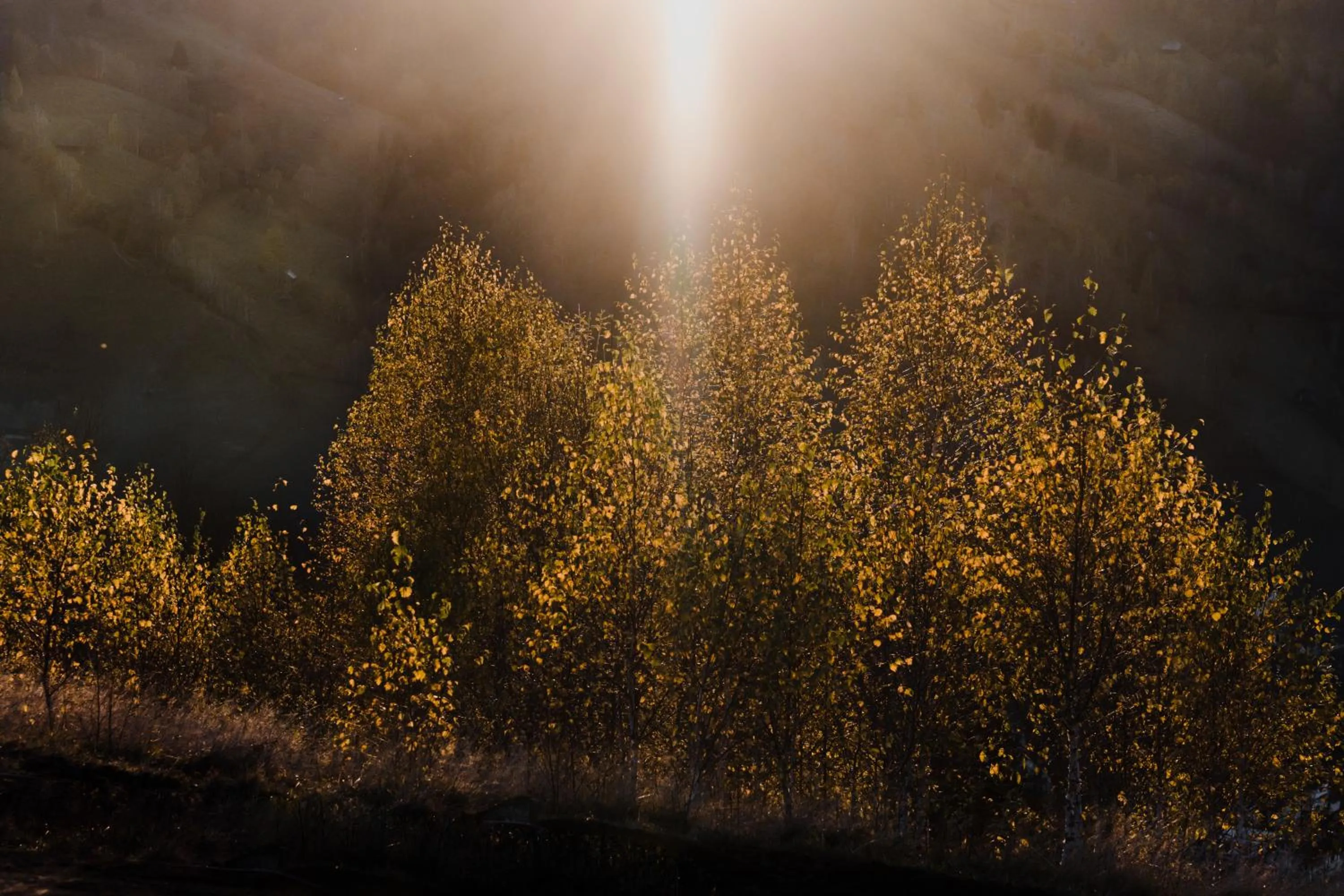 View (from property/room) in Matca Hotel Relais & Châteaux