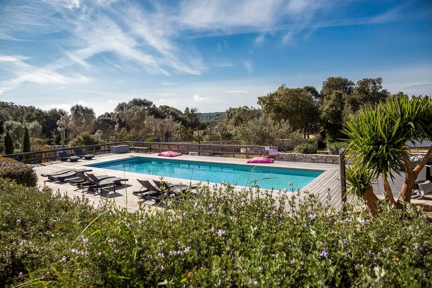 Garden view in l'Albitru