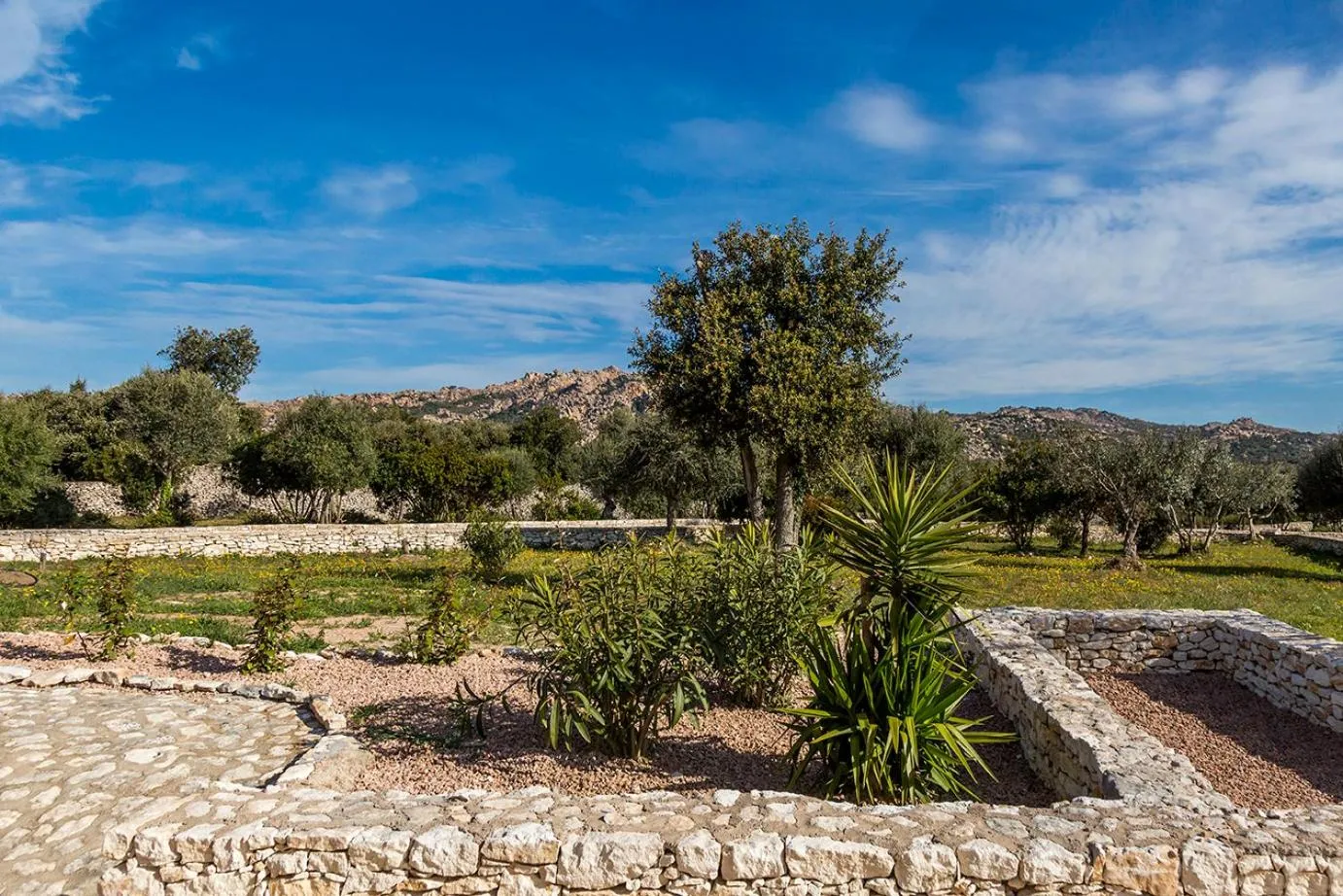 Garden view in l'Albitru