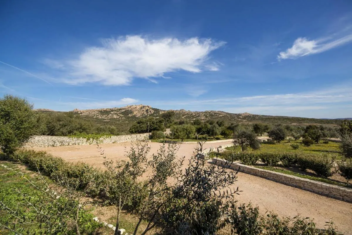 Mountain view in l'Albitru