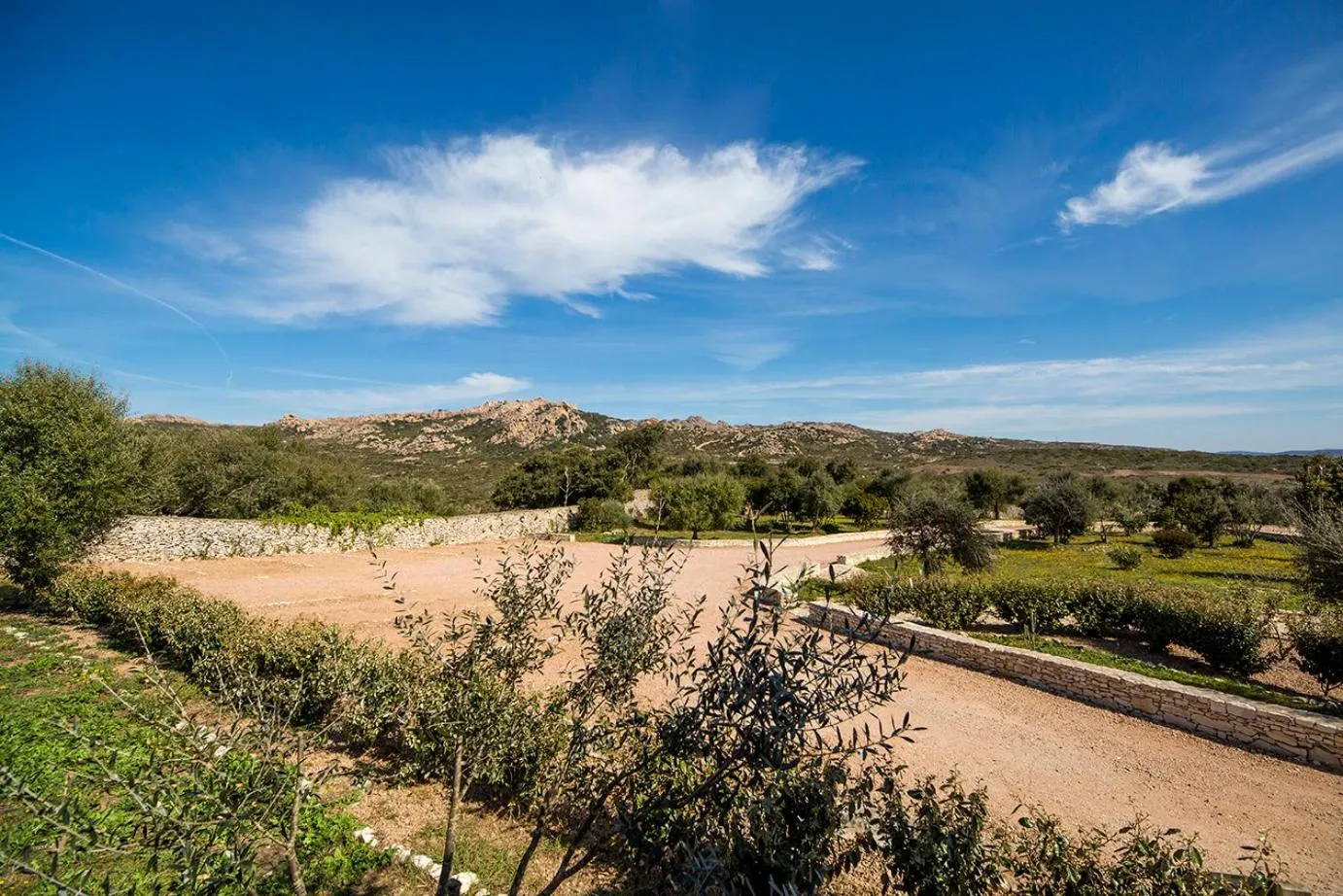 View (from property/room) in l'Albitru