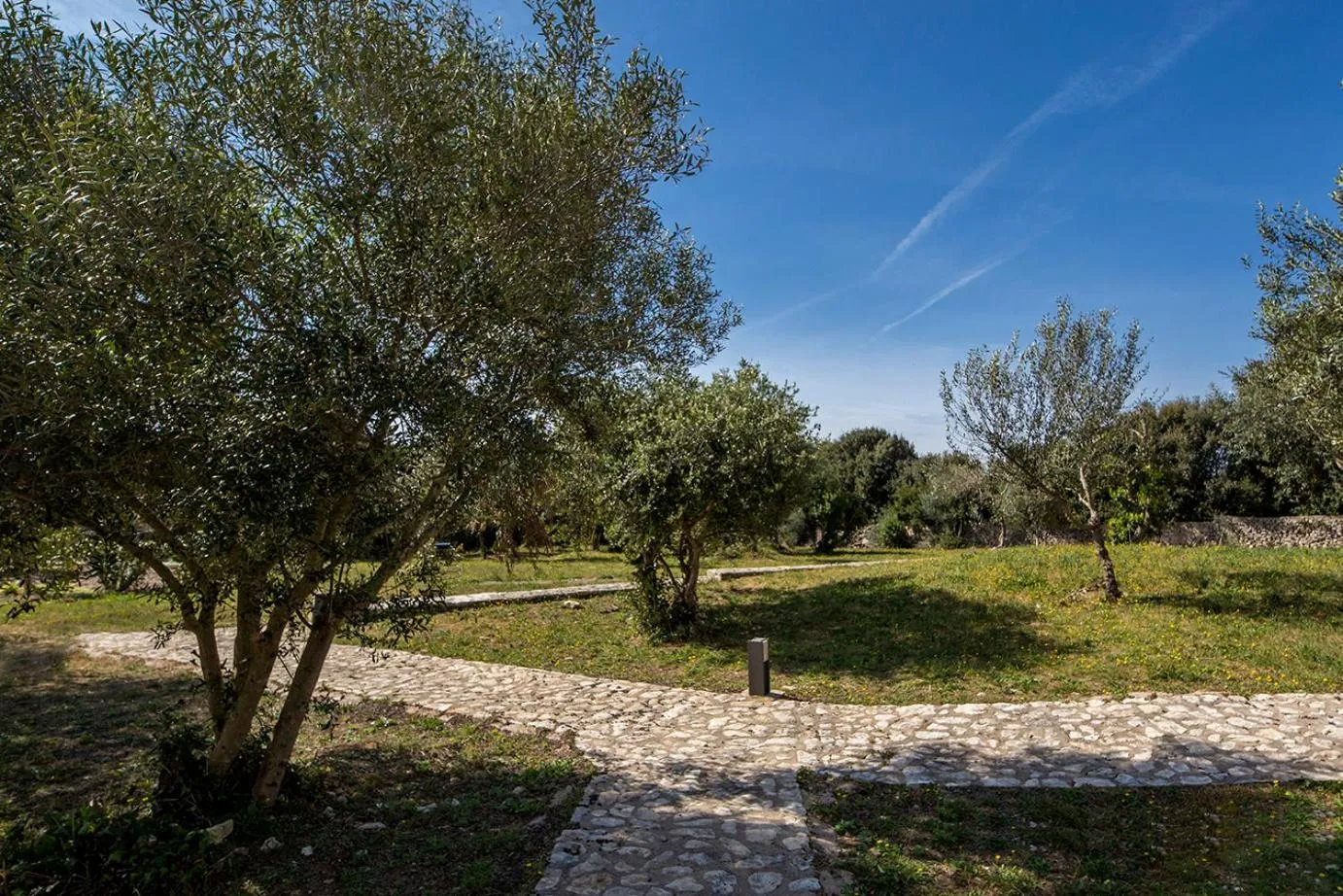 Garden view in l'Albitru