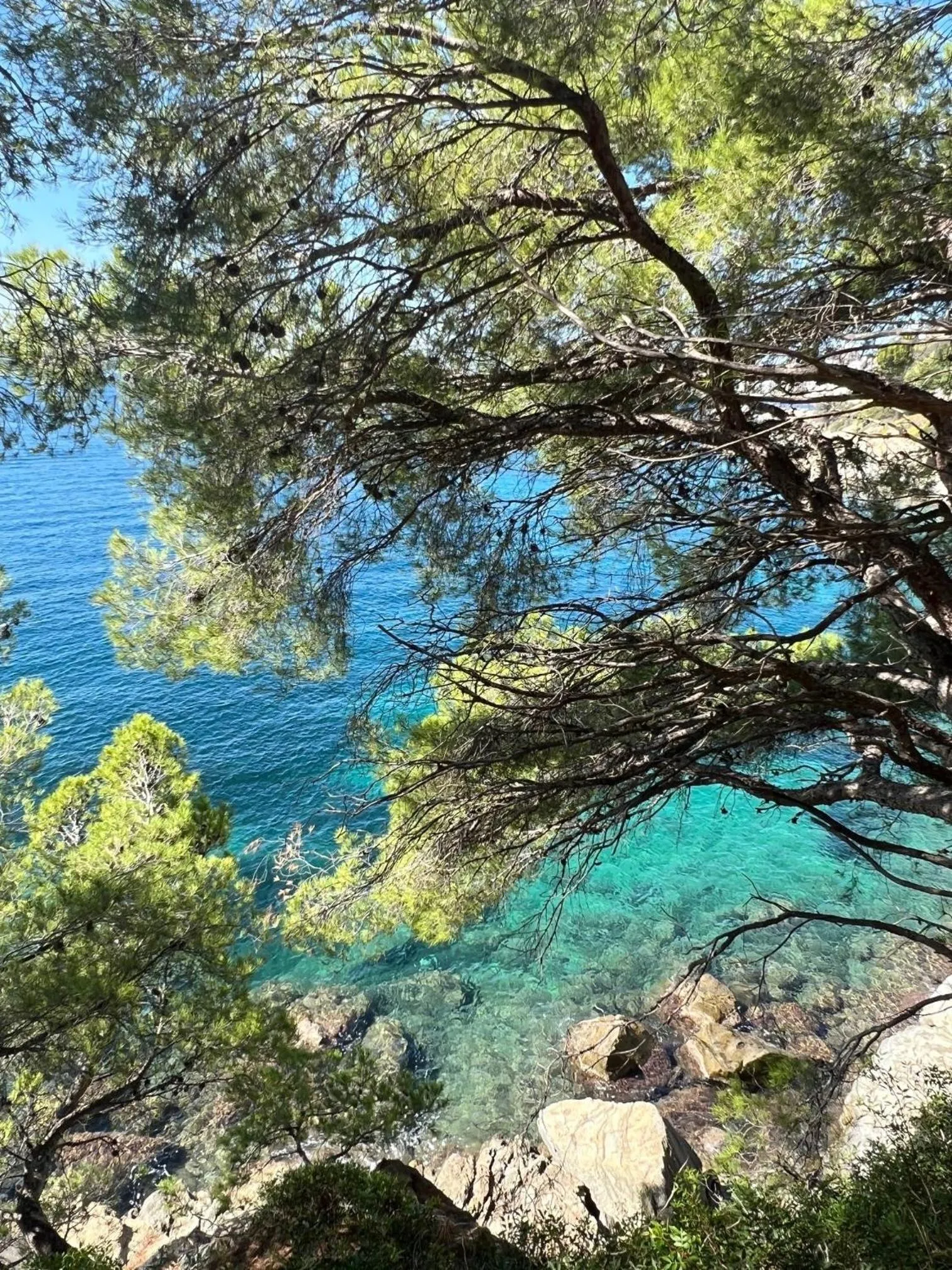 Almadrava Dream: Costa Brava