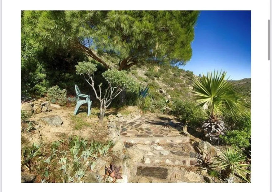 Garden in Almadrava Dream: Costa Brava