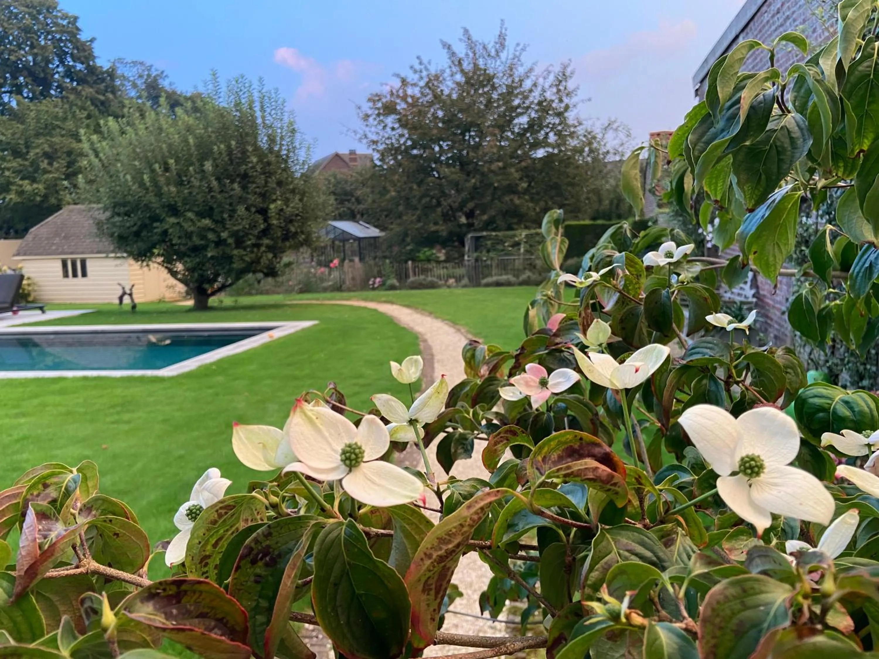 Garden in B&B Aline Florentine - adults only - Luxury B&B - Chambres d'Hôtes - Zimmer Frei