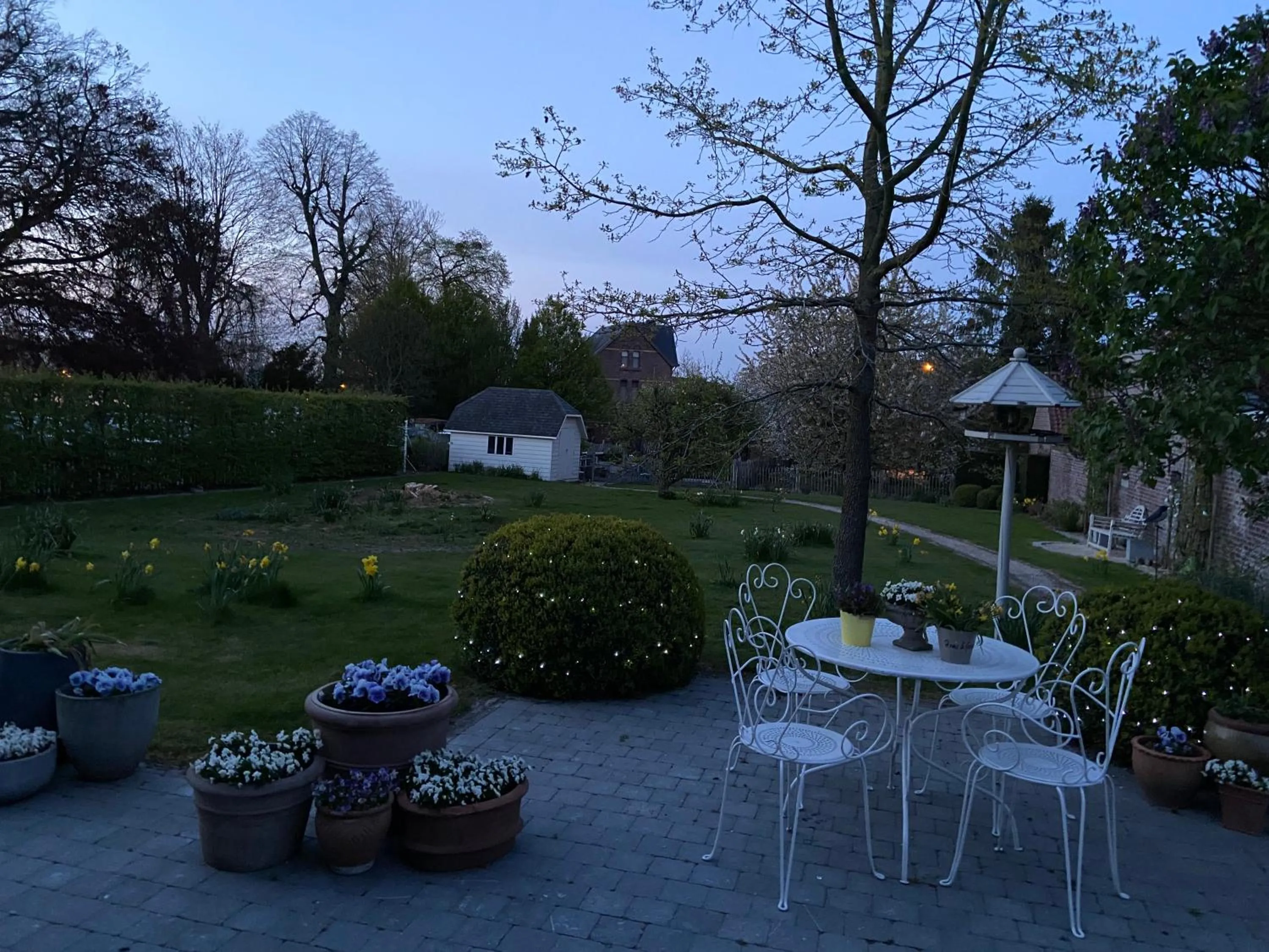 Garden in B&B Aline Florentine - adults only - Luxury B&B - Chambres d'Hôtes - Zimmer Frei