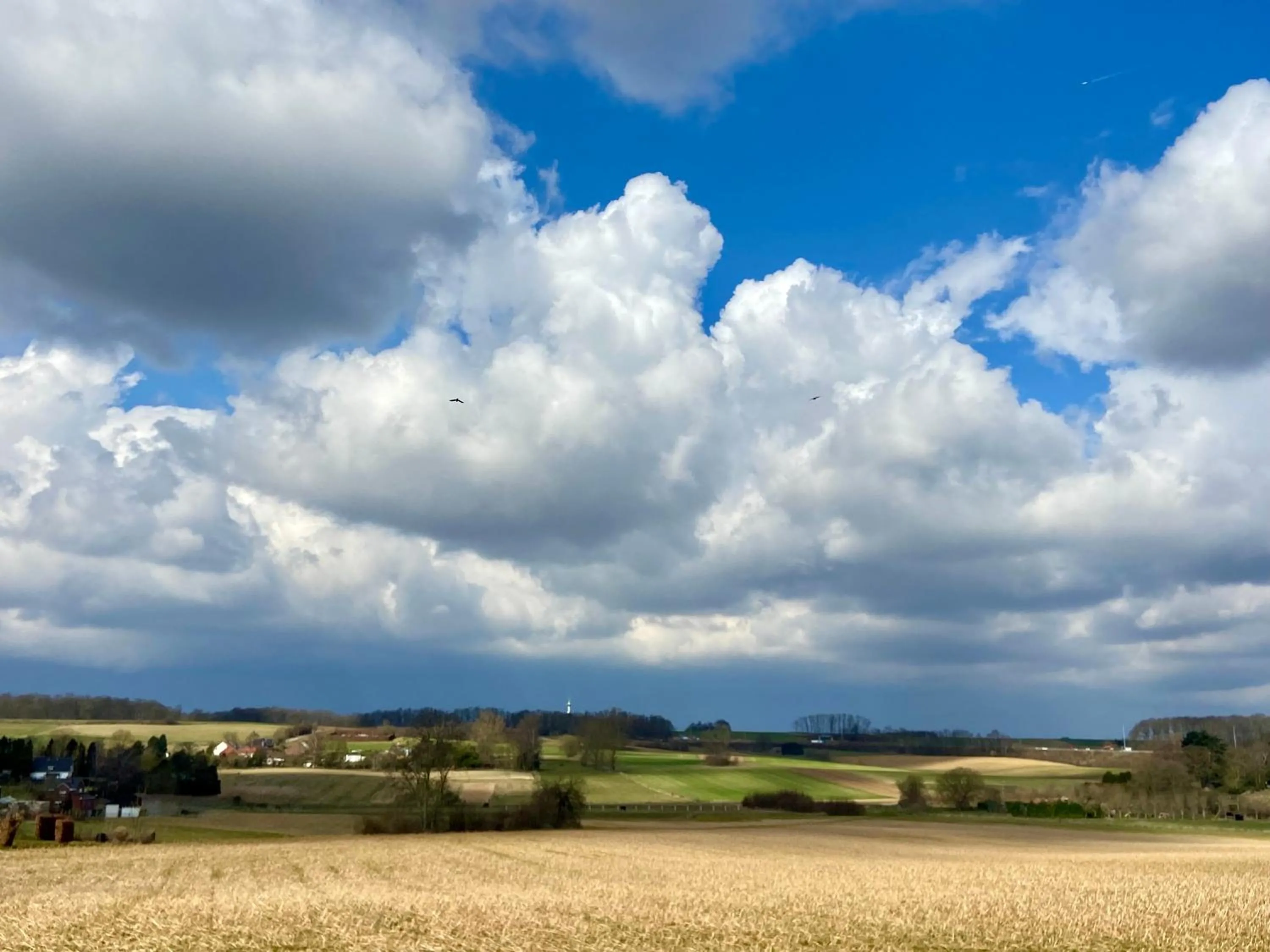 Natural landscape in B&B Aline Florentine - adults only - Luxury B&B - Chambres d'Hôtes - Zimmer Frei