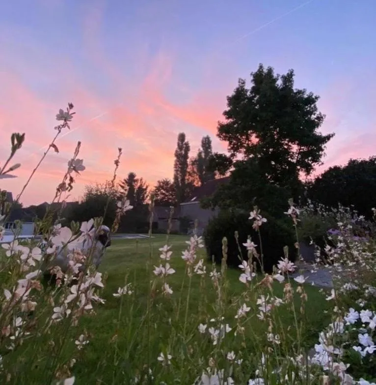 Garden in B&B Aline Florentine - adults only - Luxury B&B - Chambres d'Hôtes - Zimmer Frei