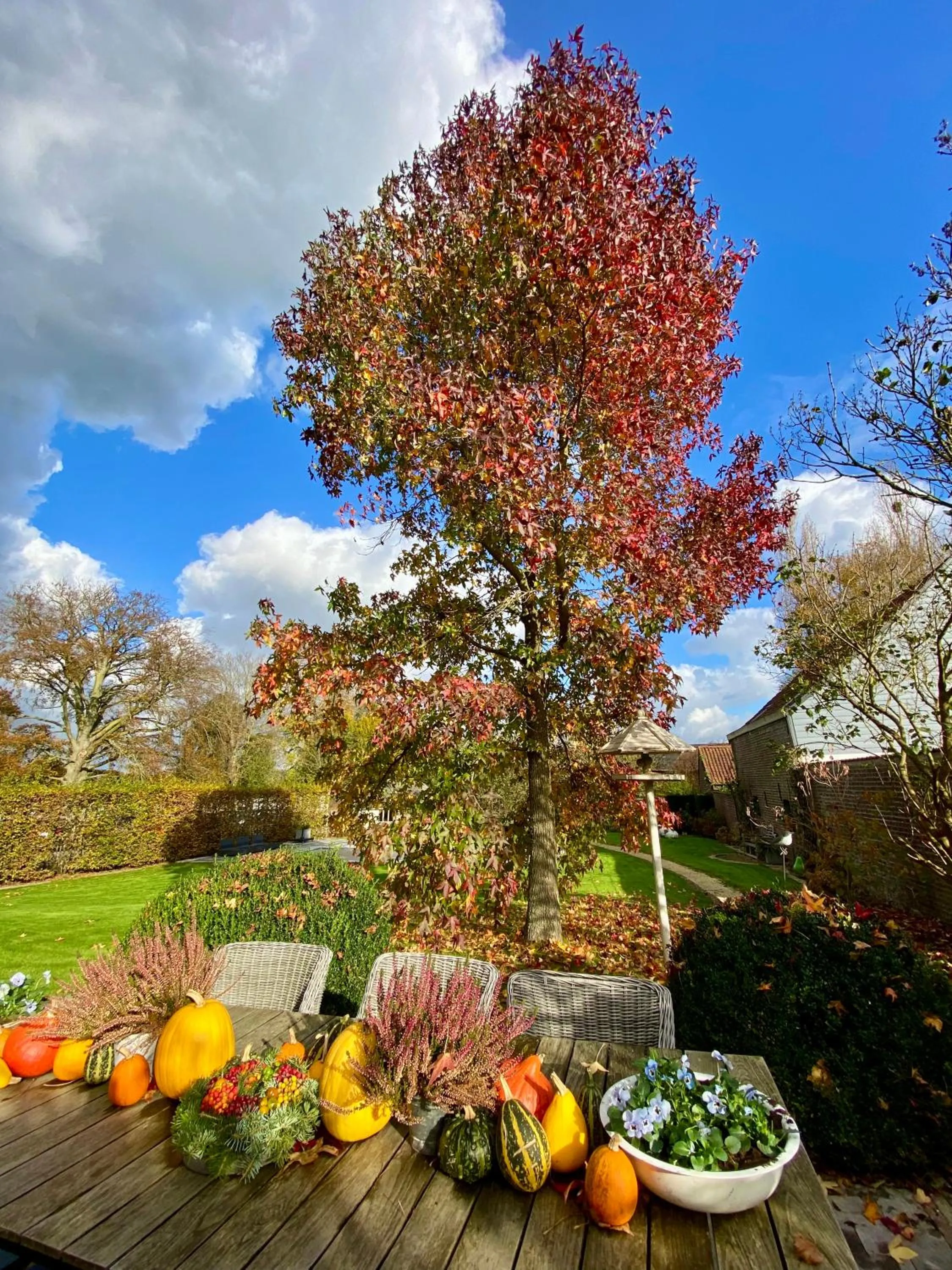 Garden in B&B Aline Florentine - adults only - Luxury B&B - Chambres d'Hôtes - Zimmer Frei