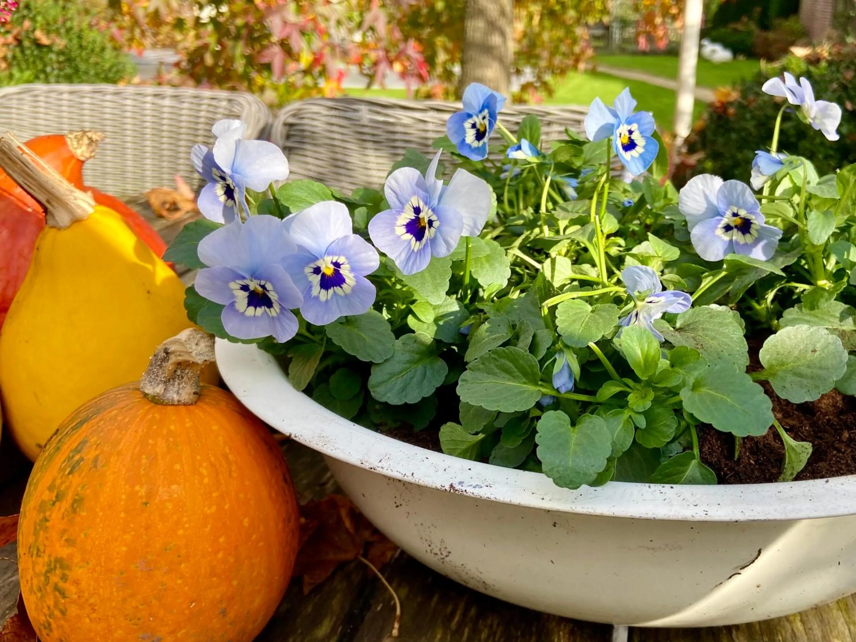 Garden in B&B Aline Florentine - adults only - Luxury B&B - Chambres d'Hôtes - Zimmer Frei