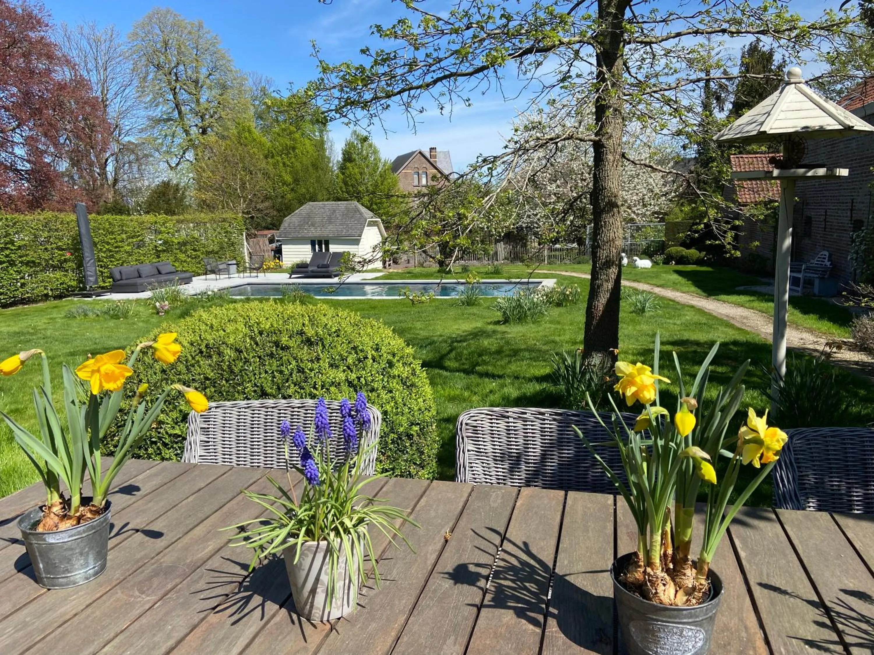 Garden in B&B Aline Florentine - adults only - Luxury B&B - Chambres d'Hôtes - Zimmer Frei