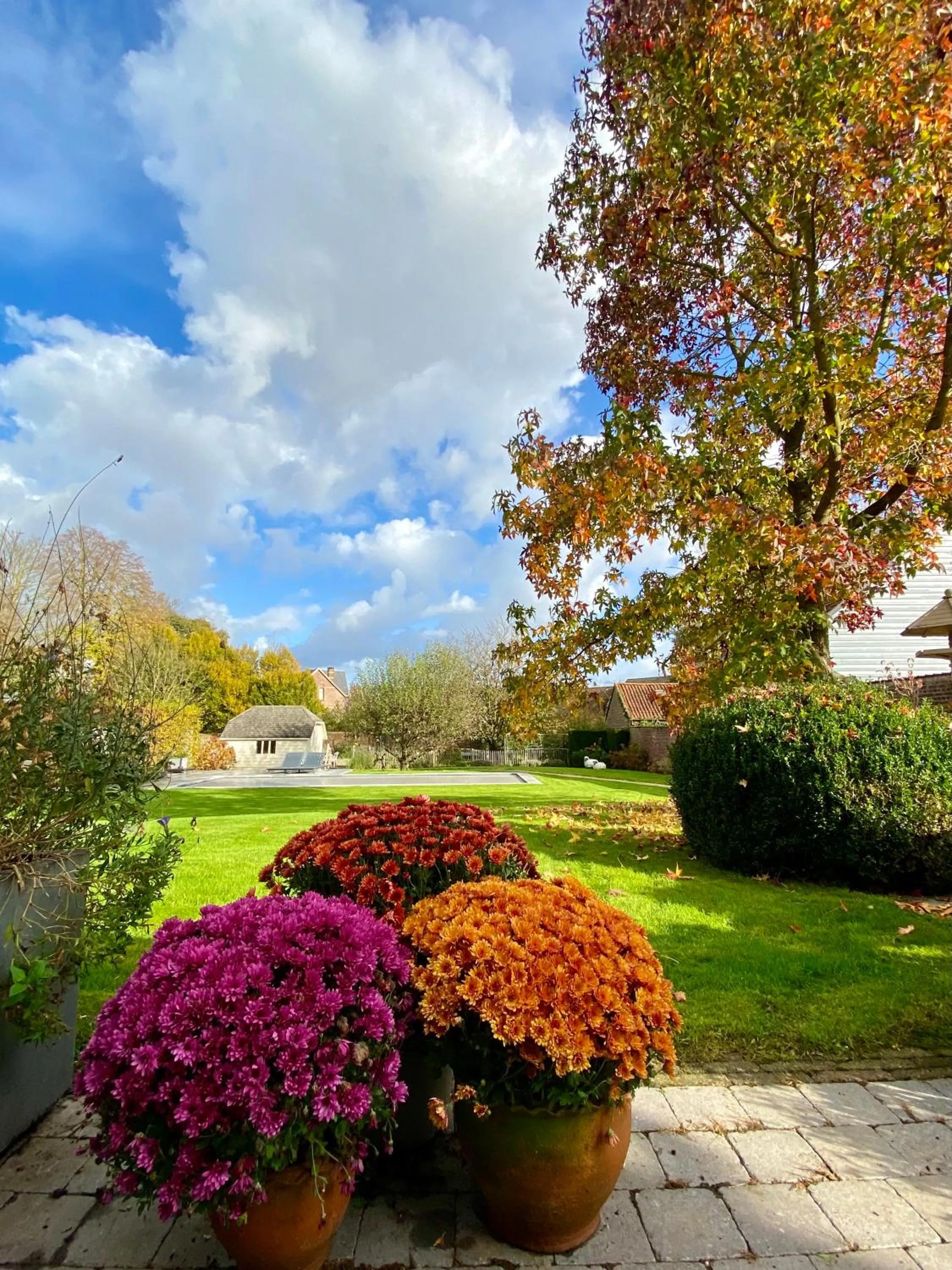 Garden in B&B Aline Florentine - adults only - Luxury B&B - Chambres d'Hôtes - Zimmer Frei