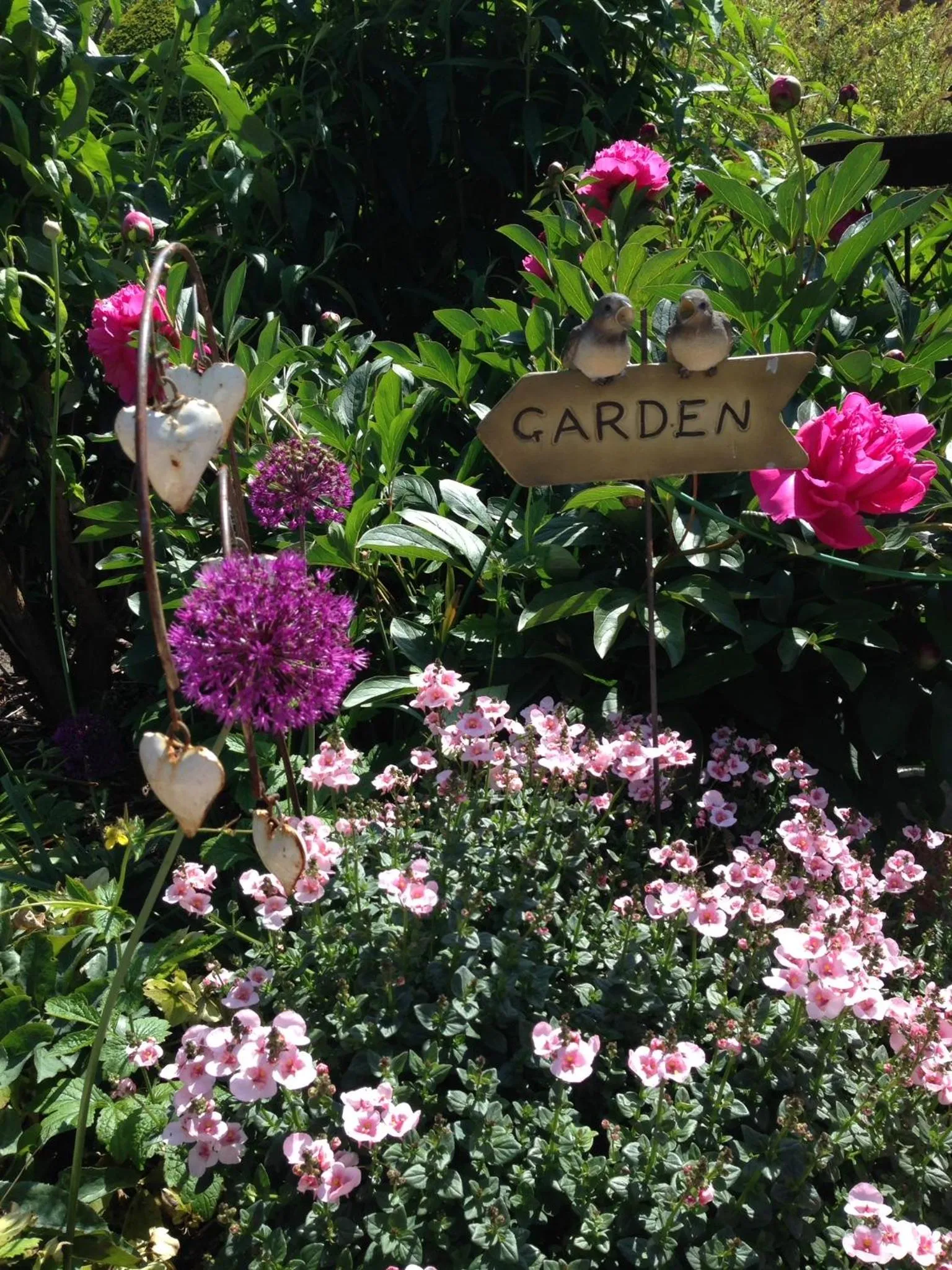 Garden in B&B Aline Florentine - adults only - Luxury B&B - Chambres d'Hôtes - Zimmer Frei