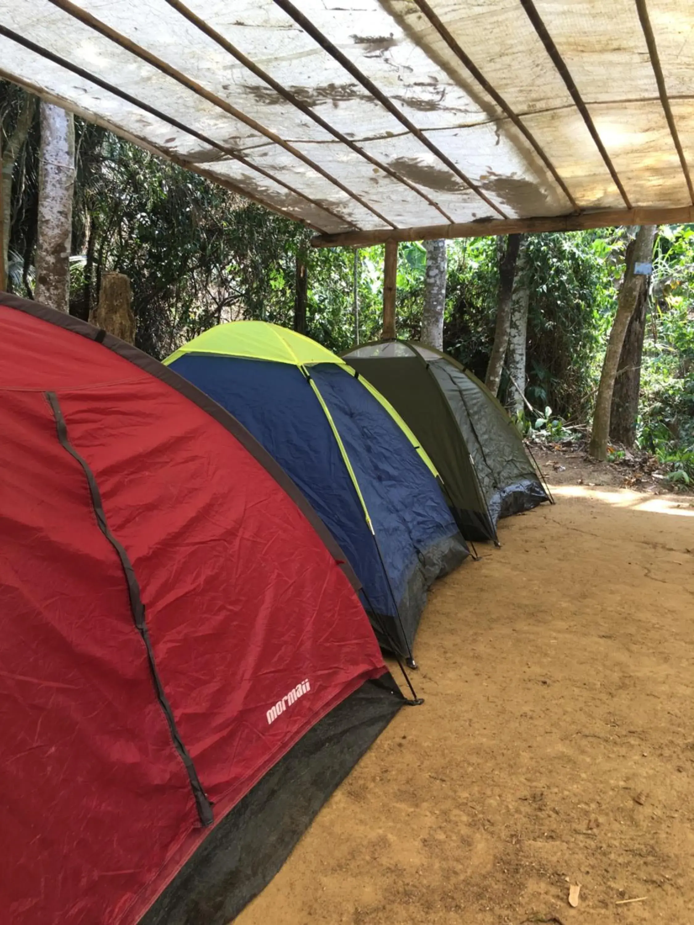 Tent - single occupancy in Camping Vida Longa Tent - single occupancy in Camping Vida Longa
