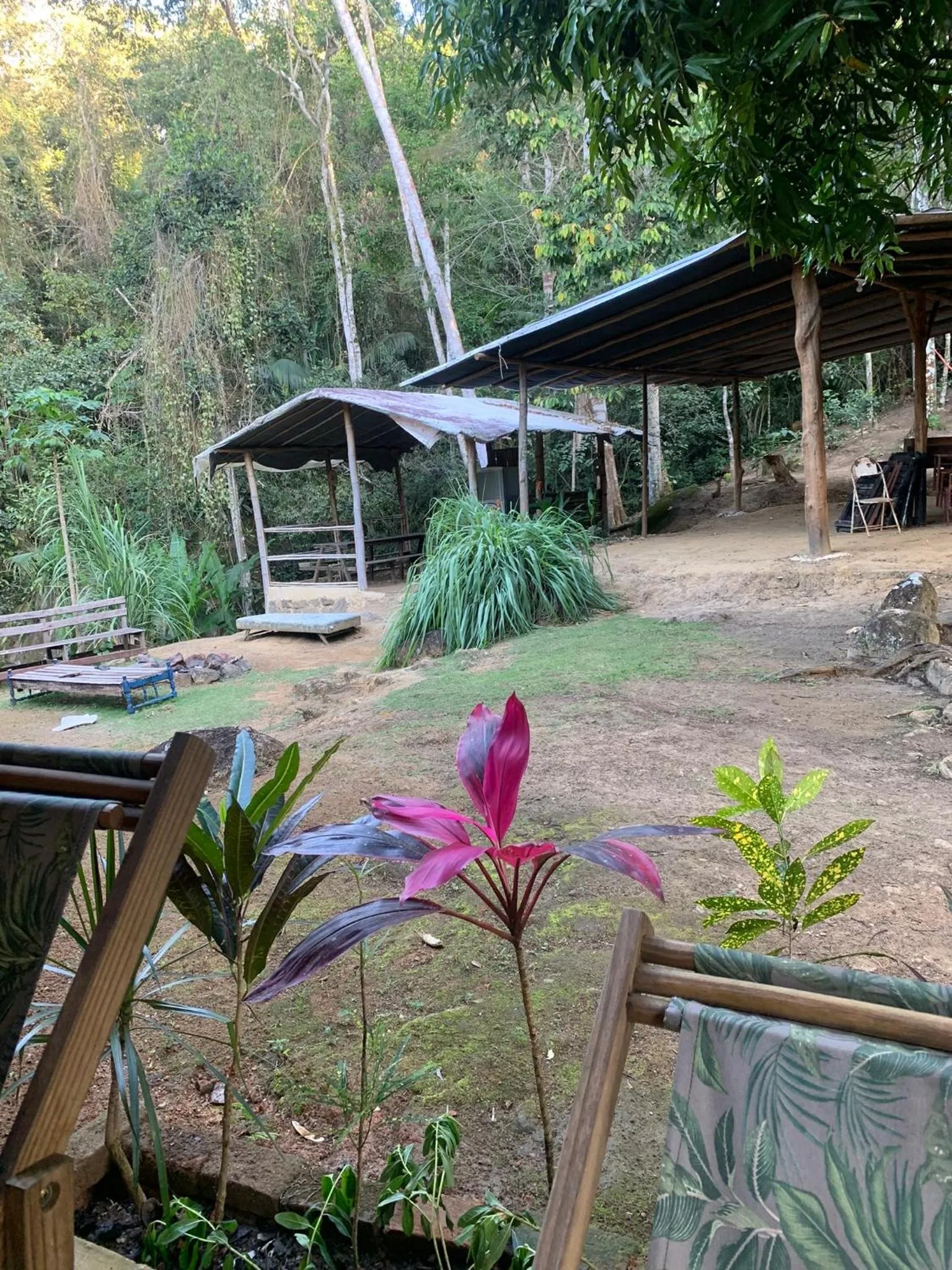 Camping Vida Longa