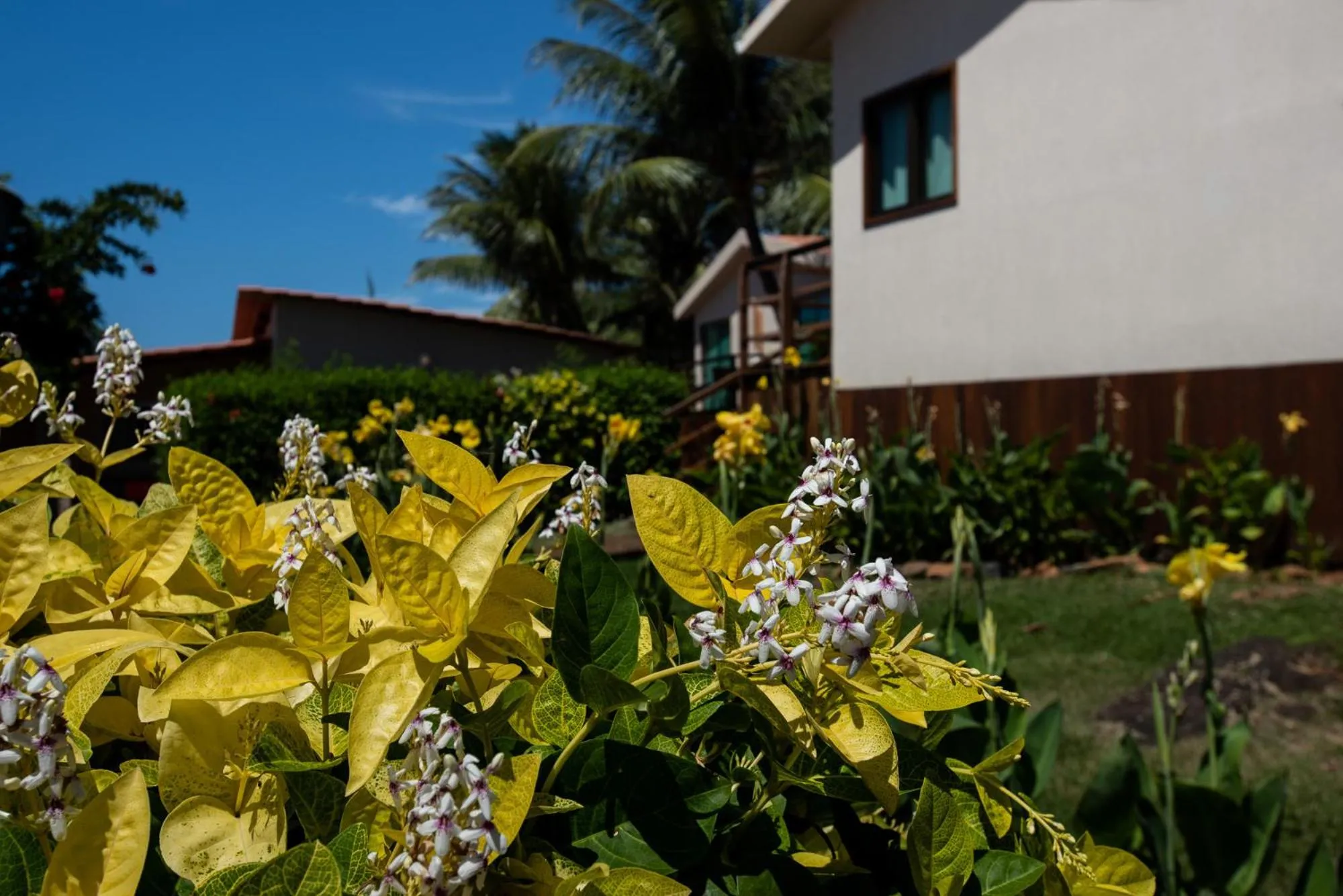 Garden in Pousada da Germana