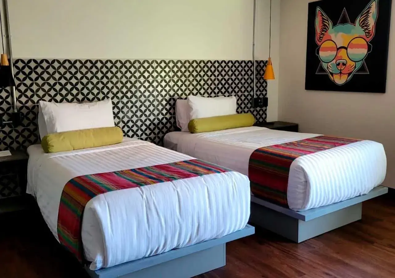 Standard Twin Room in Hotel Estancias VIVE MX Cuauhtemoc, Trademark by Wyndham Standard Twin Room in Hotel Estancias VIVE MX Cuauhtemoc, Trademark by Wyndham