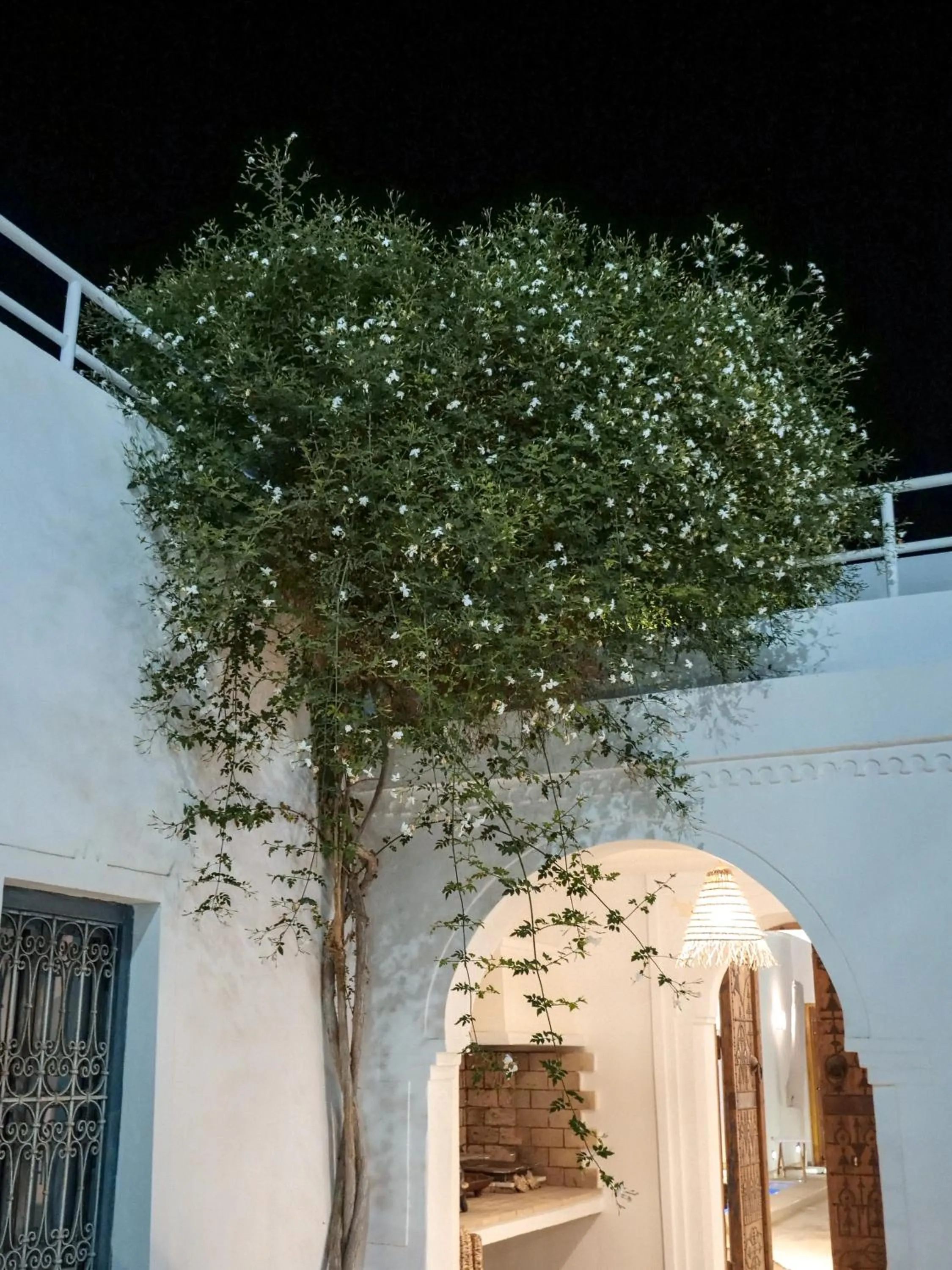 BBQ facilities in Dar Ennour Djerbahood Erriadh