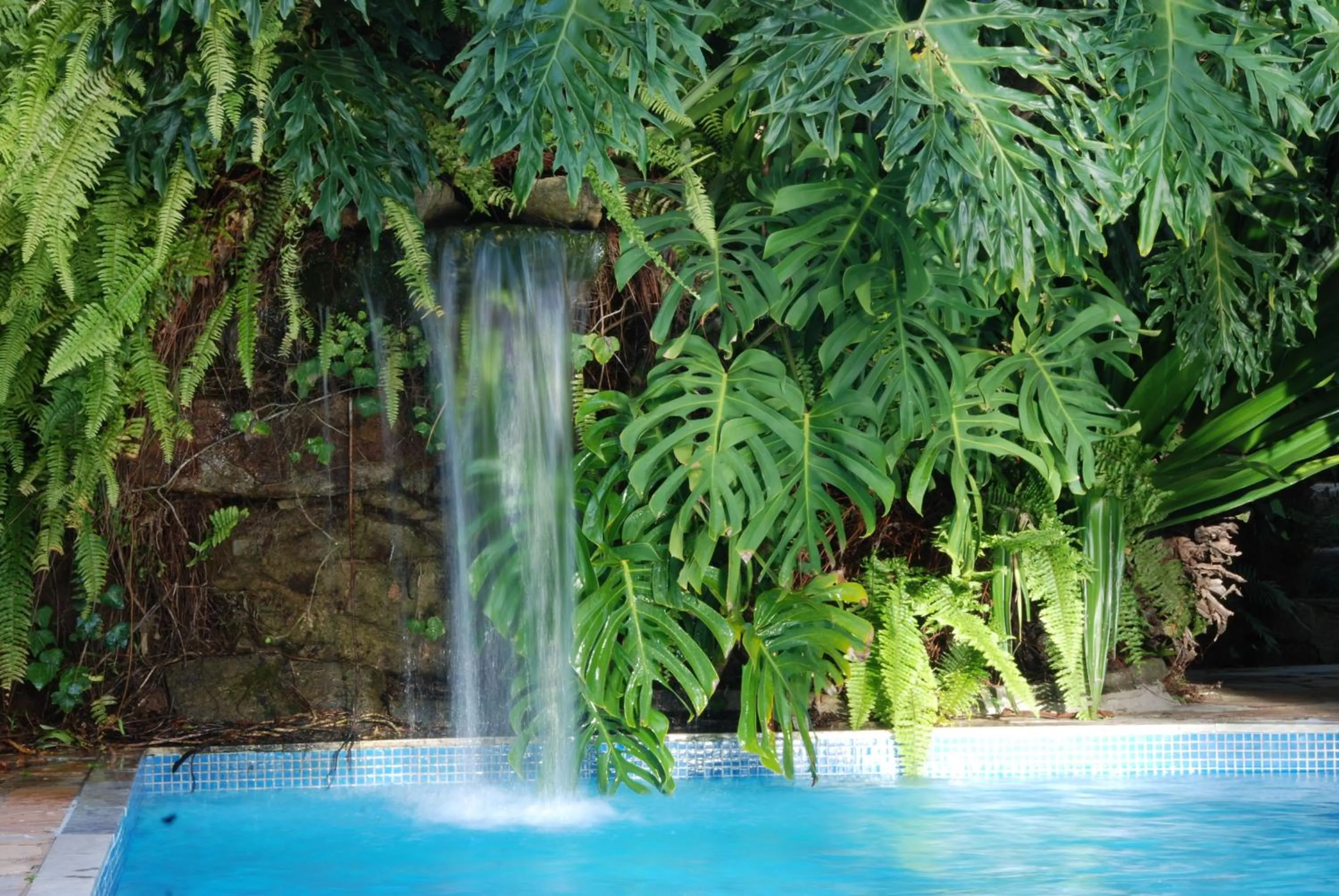 Swimming pool in Pousada Chão de Minas