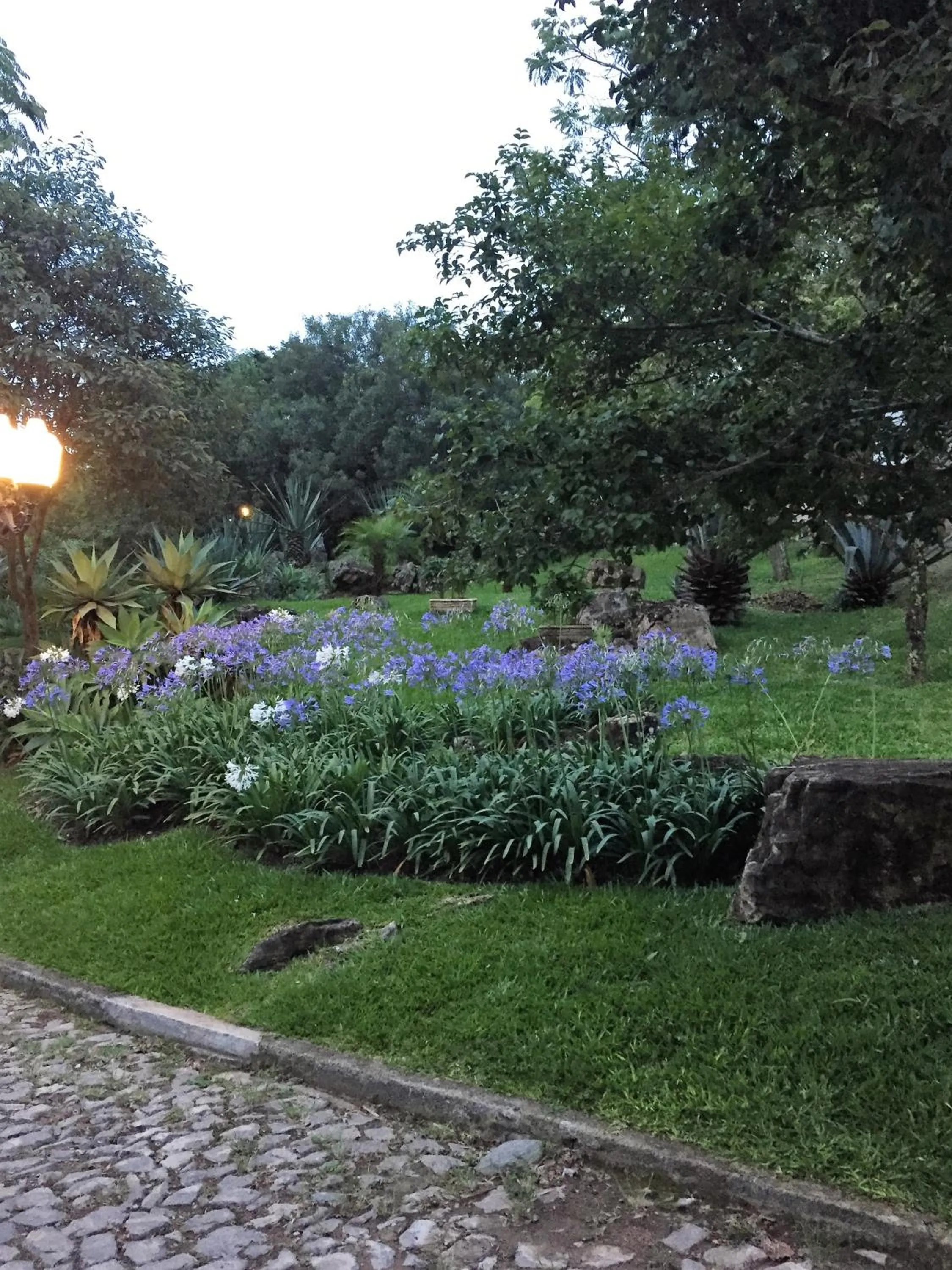 Garden view in Pousada Chão de Minas