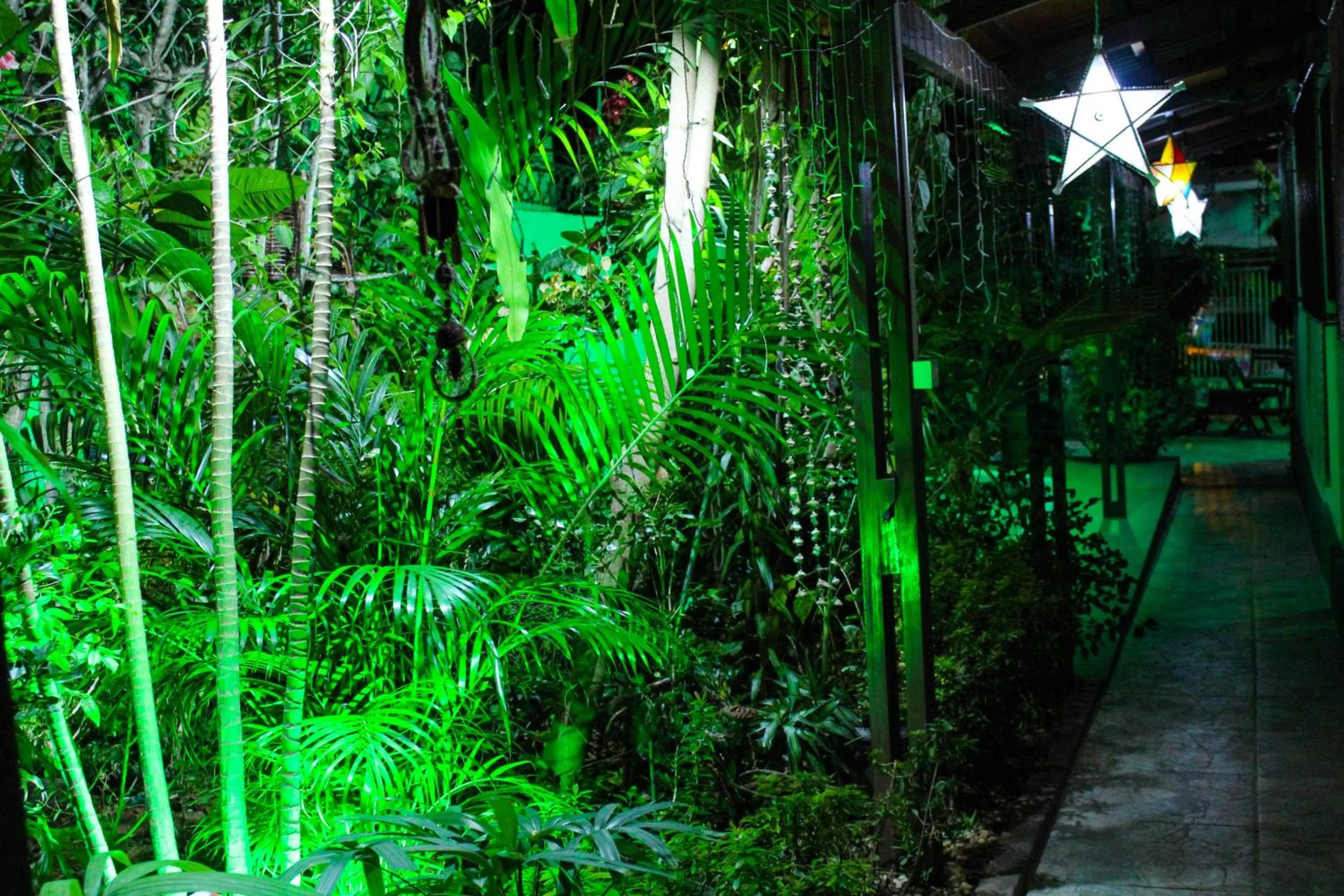 Garden view in Pousada Flor Dália