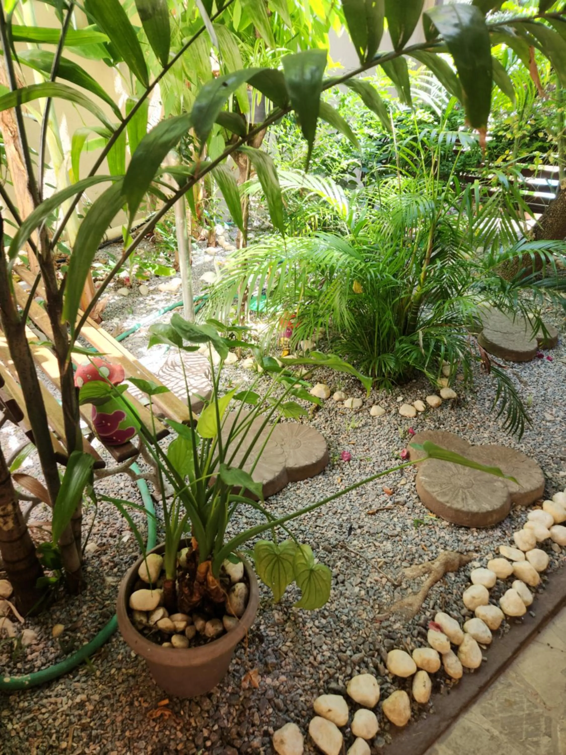 Garden in Pousada Flor Dália