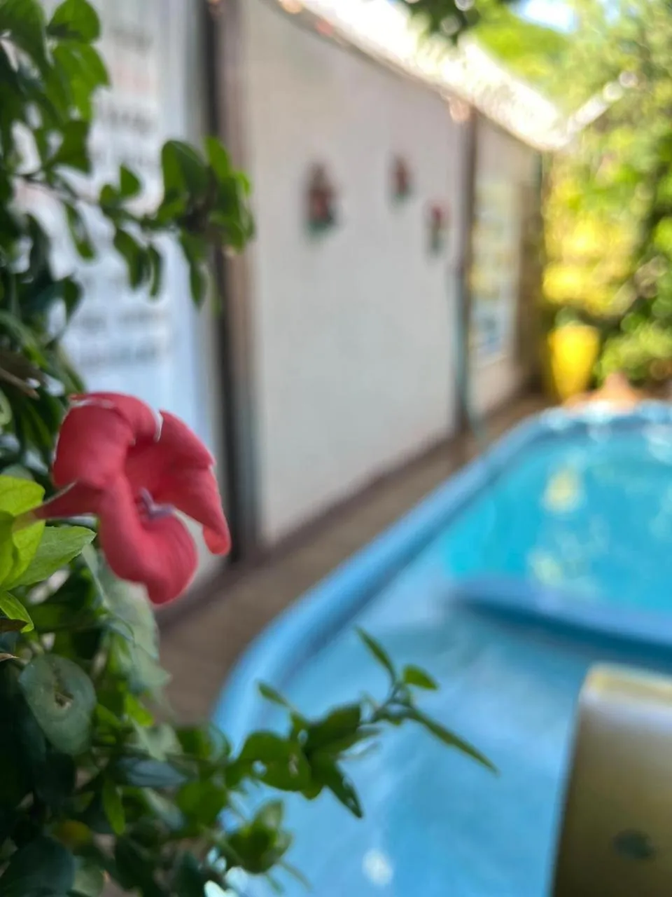 Pool view in Pousada Flor Dália