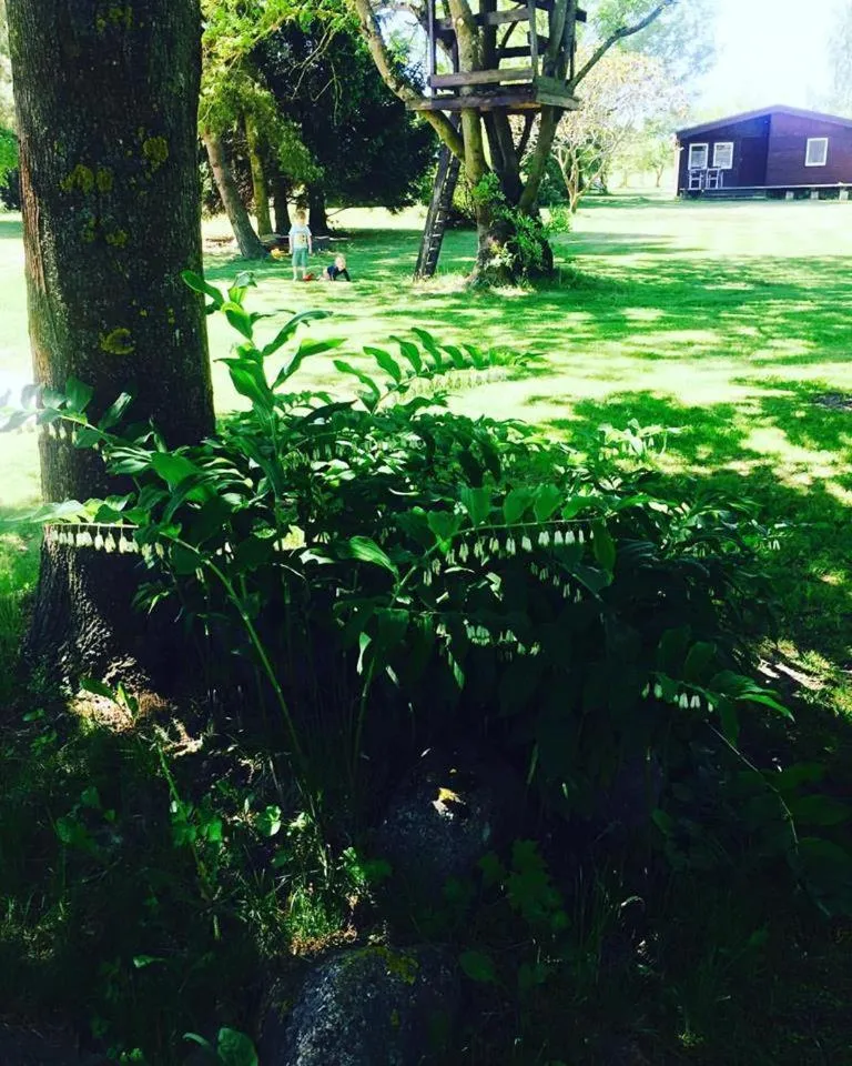 People in Gościniec Hetman