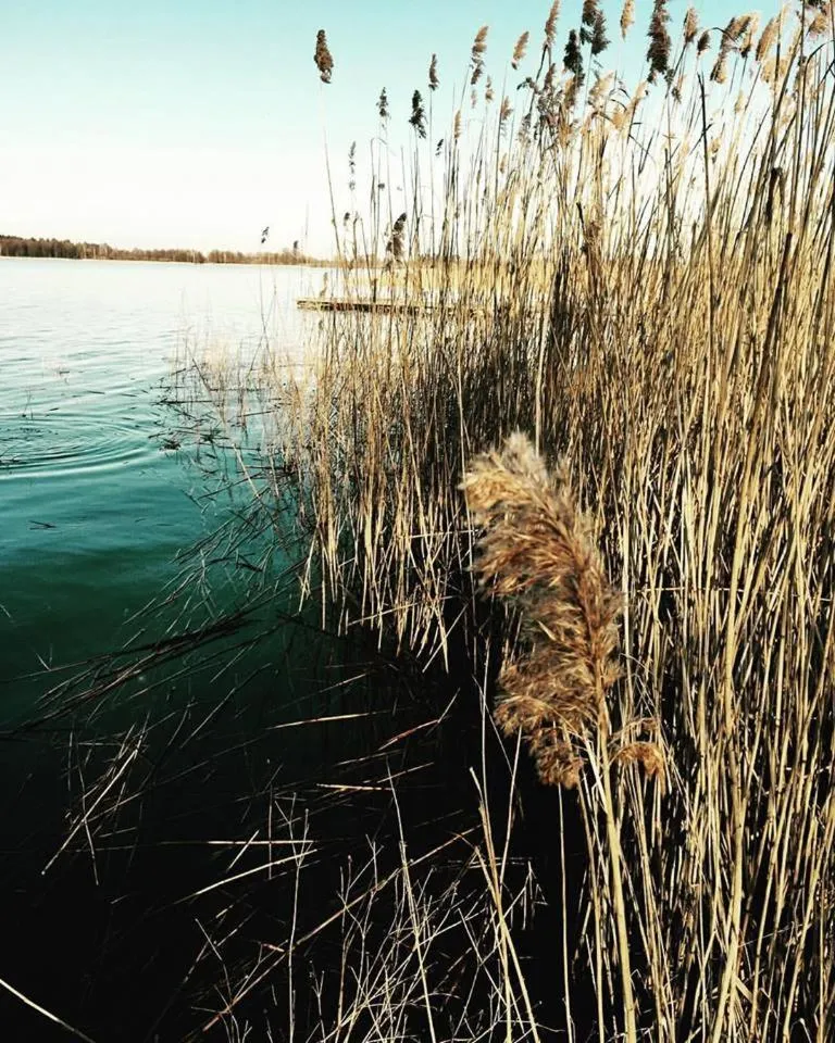 On site in Gościniec Hetman