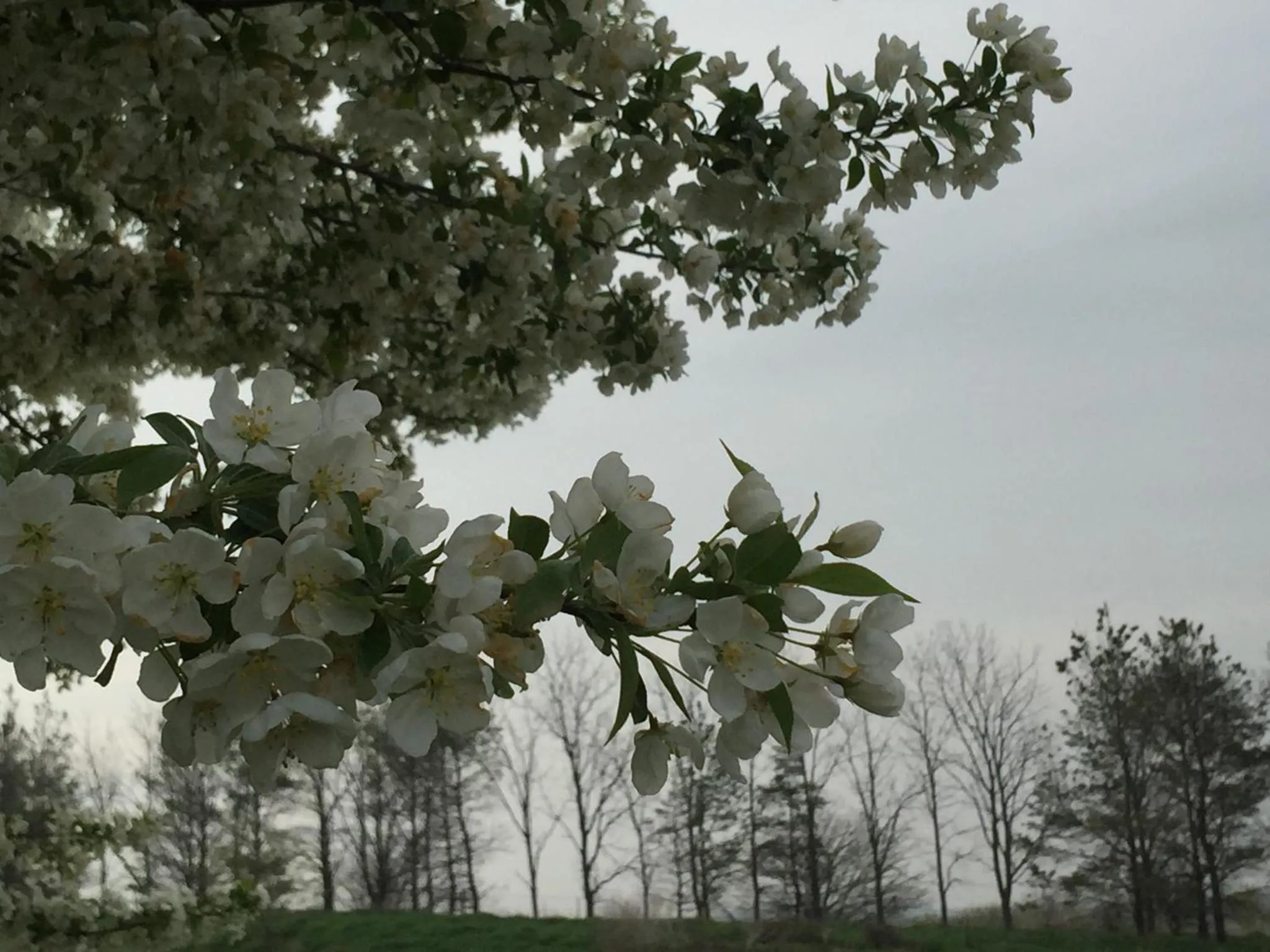 Spring in Crest Country Inn