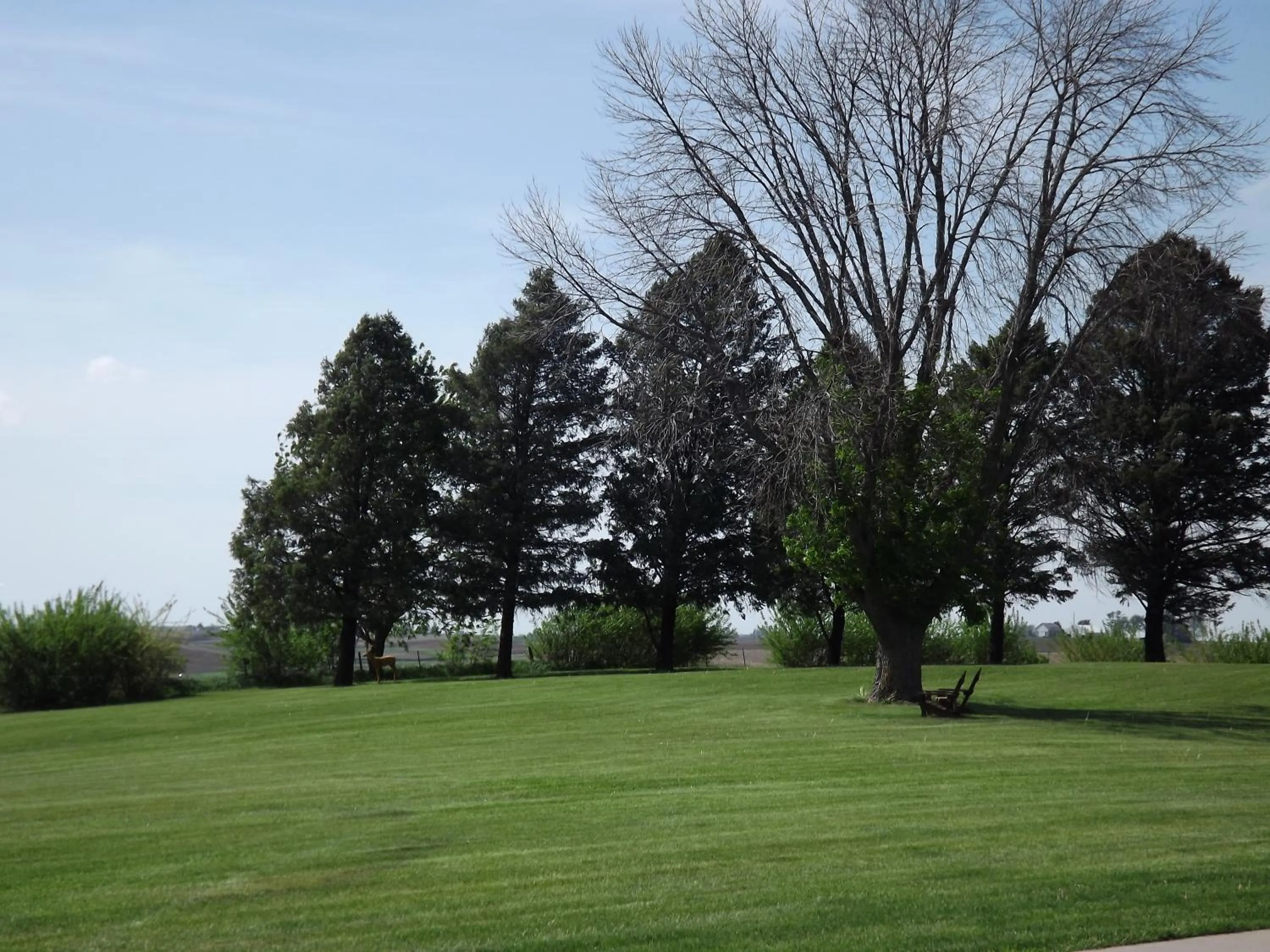 Landmark view in Crest Country Inn