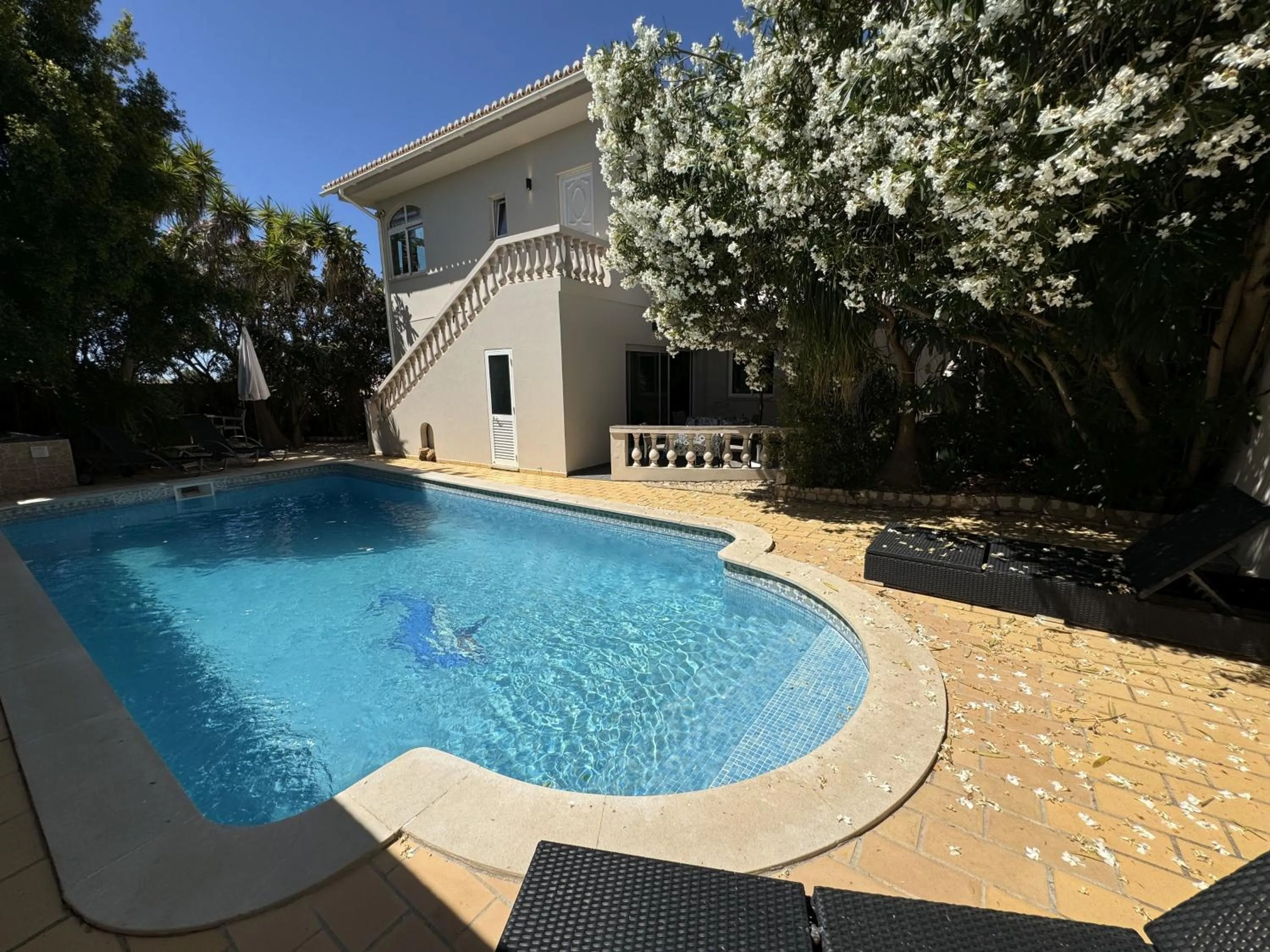 Swimming pool in Beach House Lagos - Beachhouselagos - Meia Praia