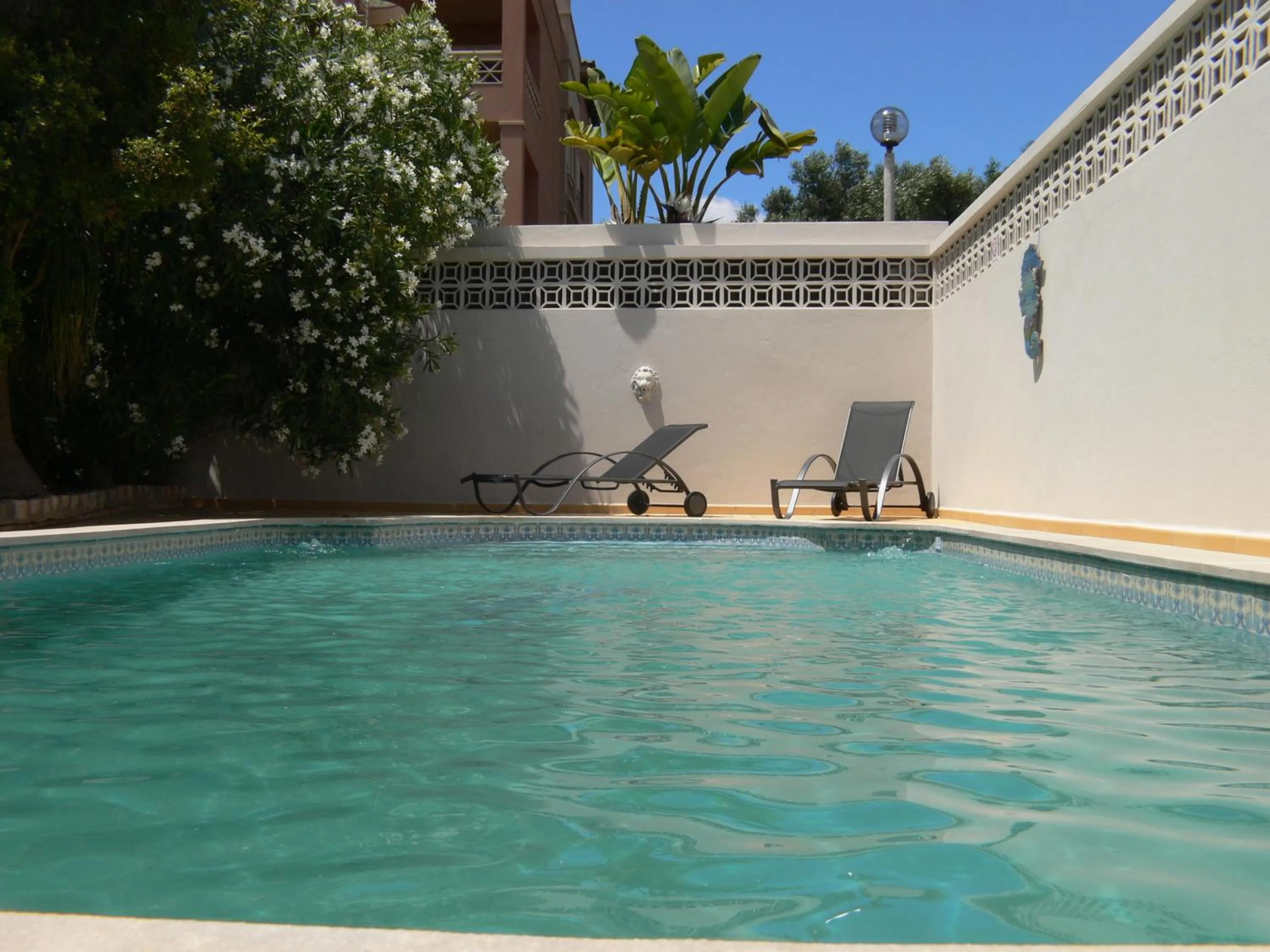 Day in Beach House Lagos - Beachhouselagos - Meia Praia