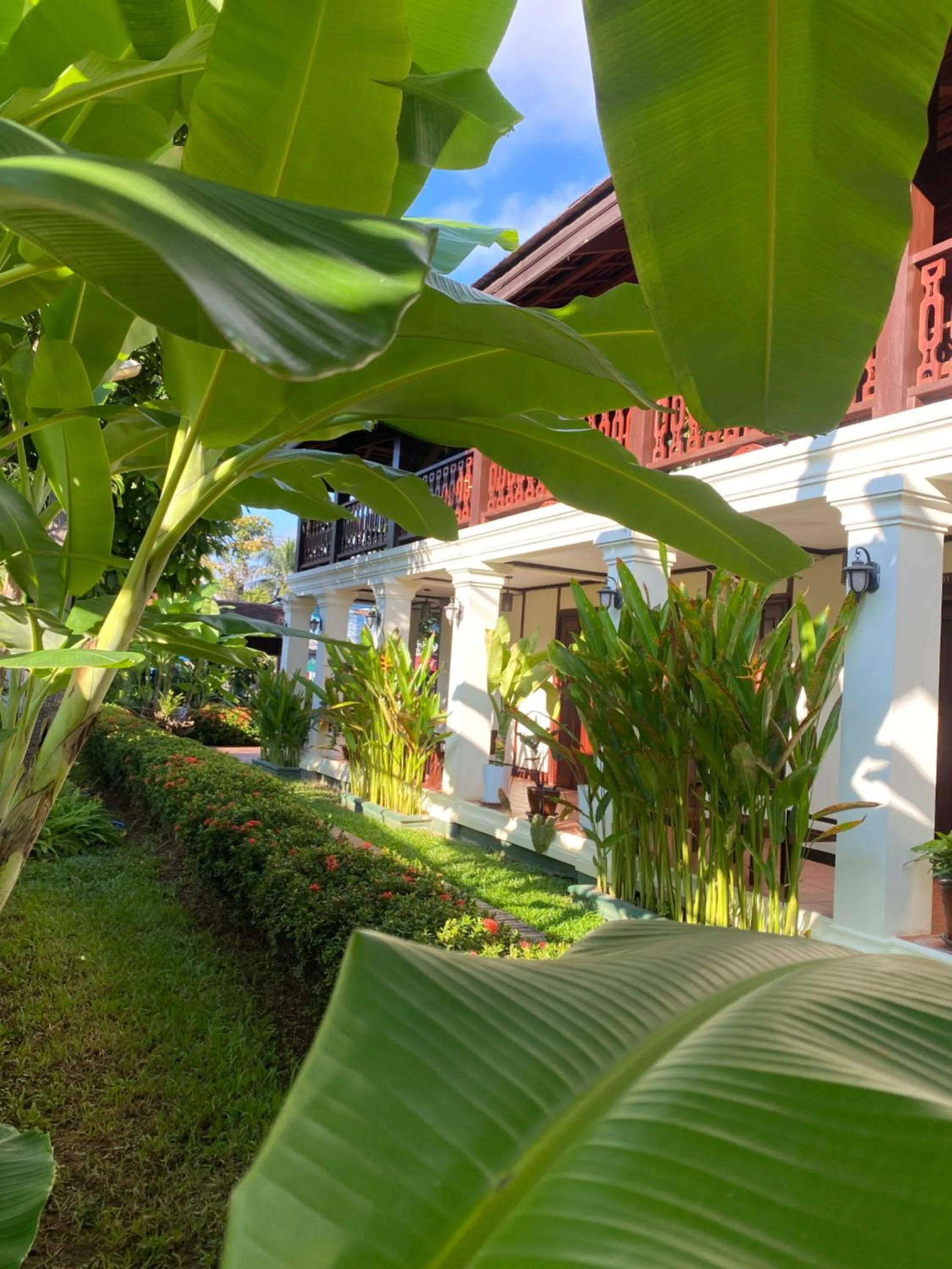 Garden in Luang Prabang Residence & Travel