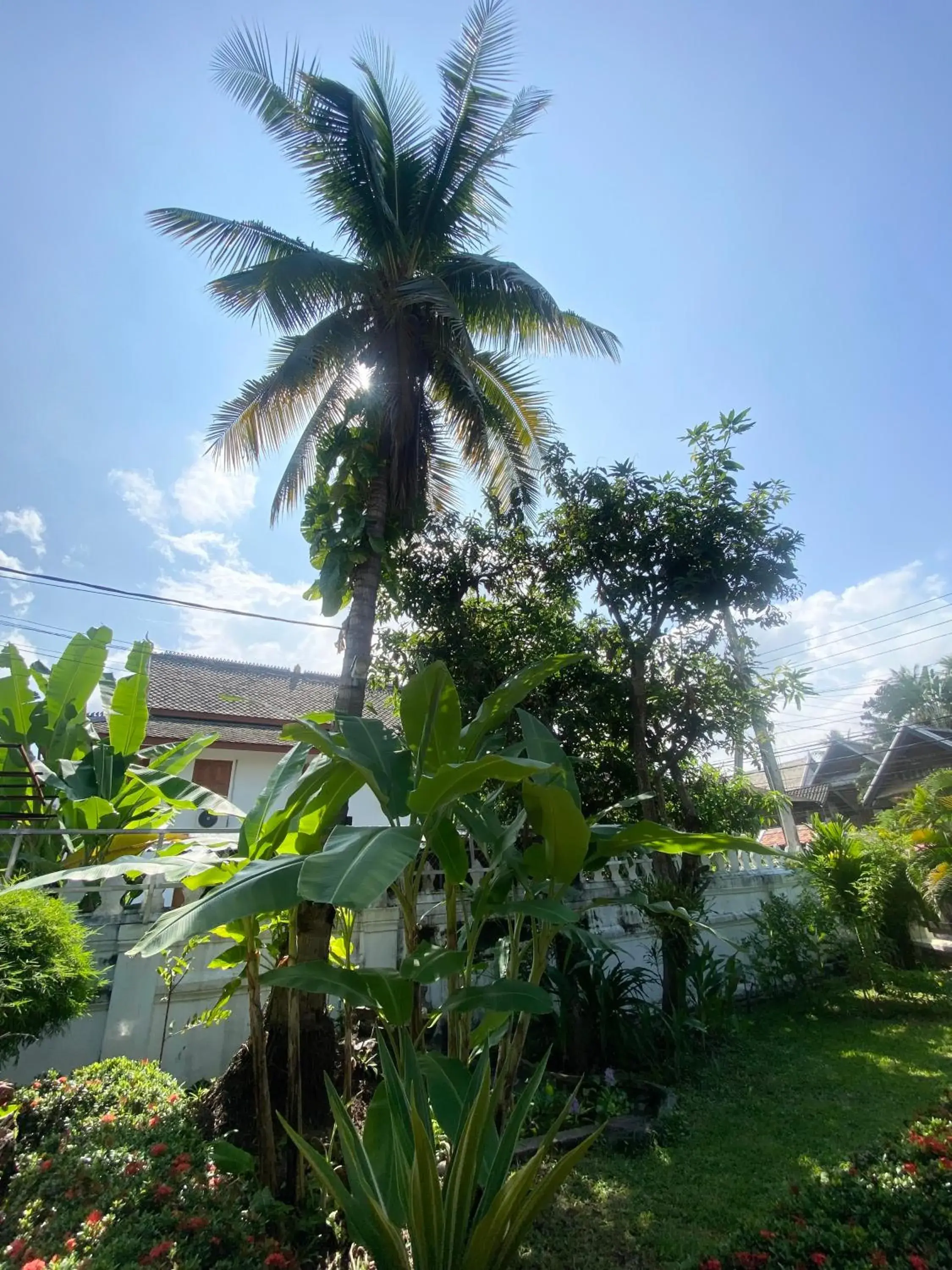 Garden in Luang Prabang Residence & Travel Garden in Luang Prabang Residence & Travel