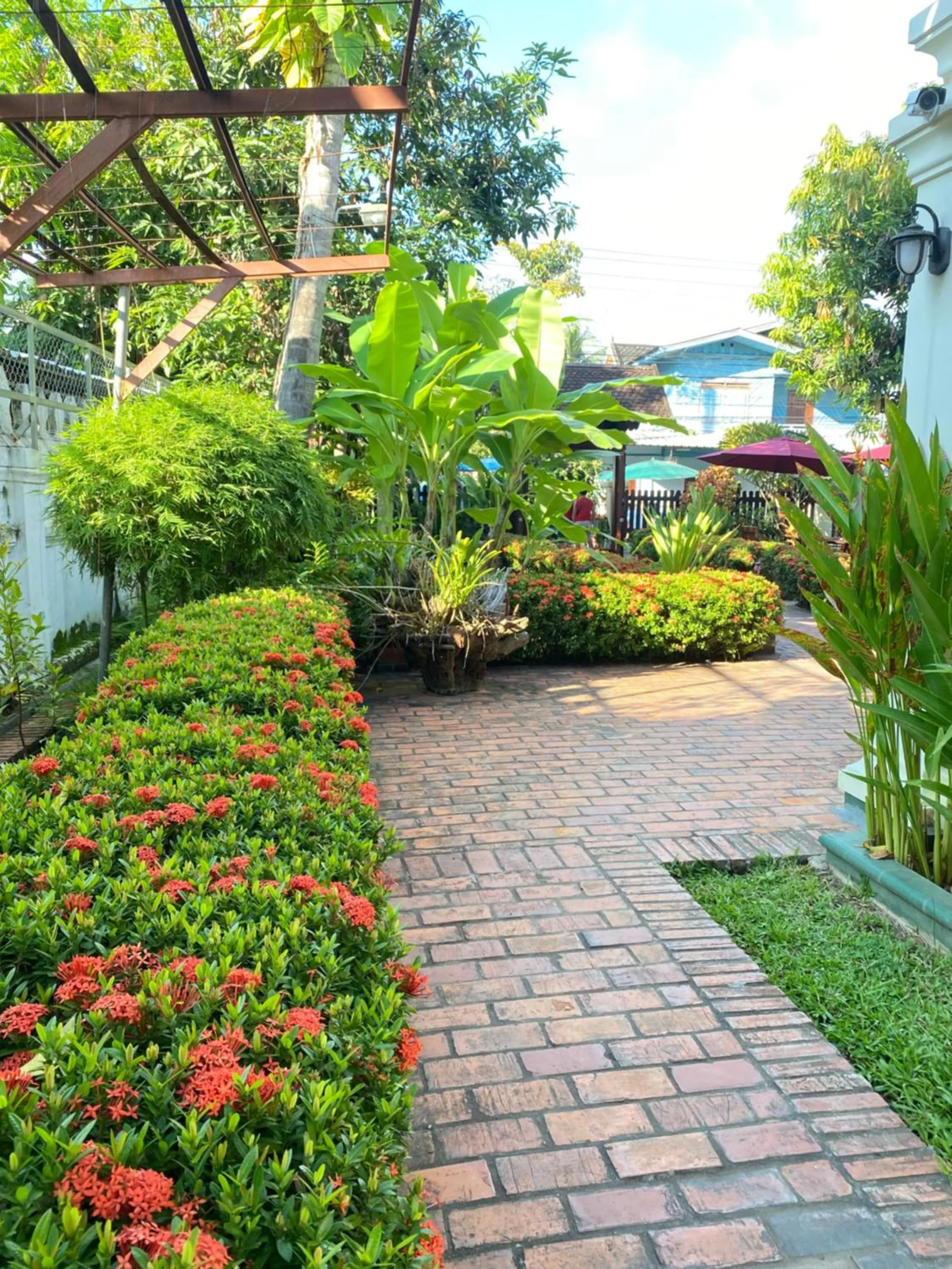 Natural landscape in Luang Prabang Residence & Travel