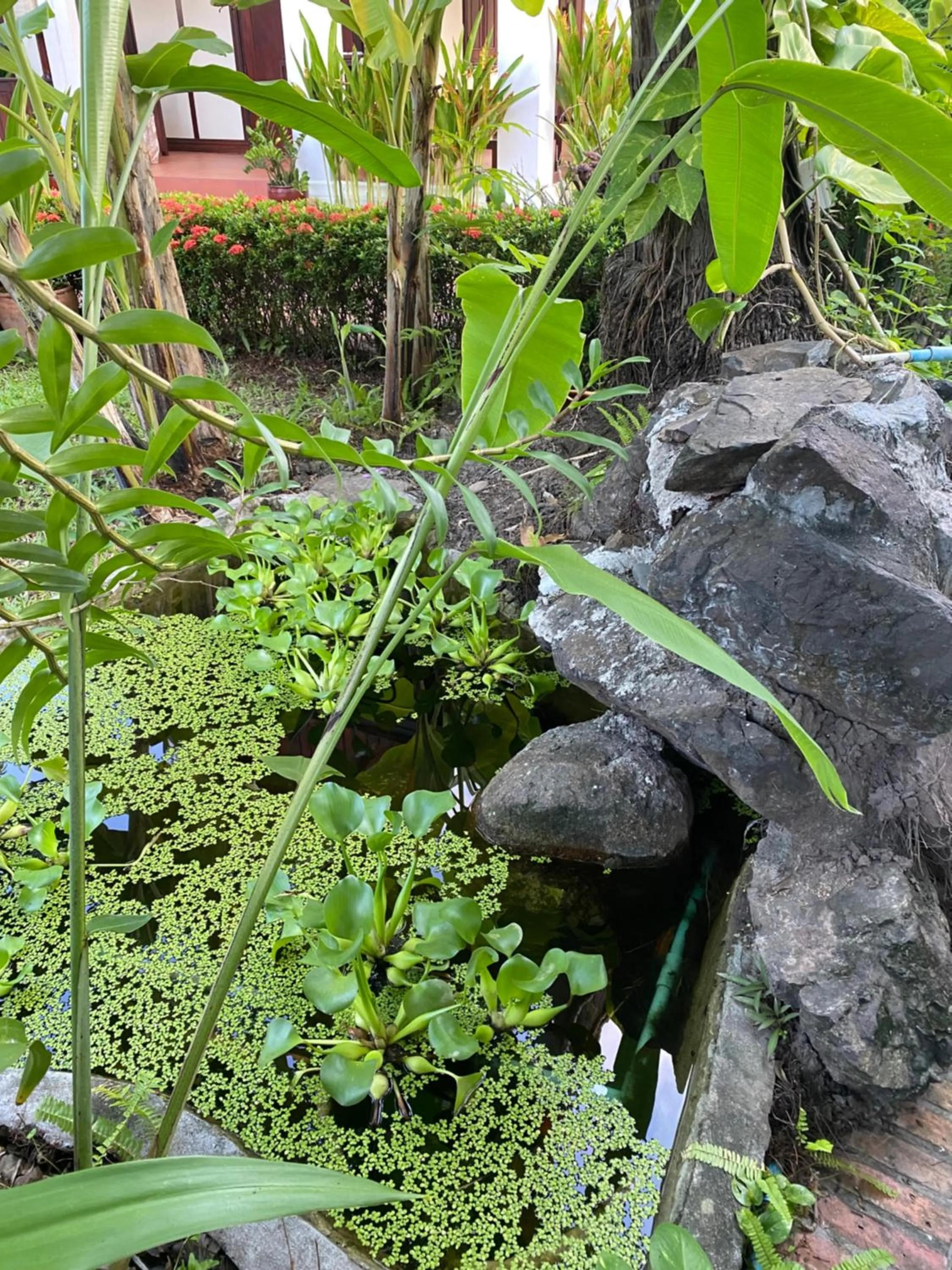 Natural landscape in Luang Prabang Residence & Travel