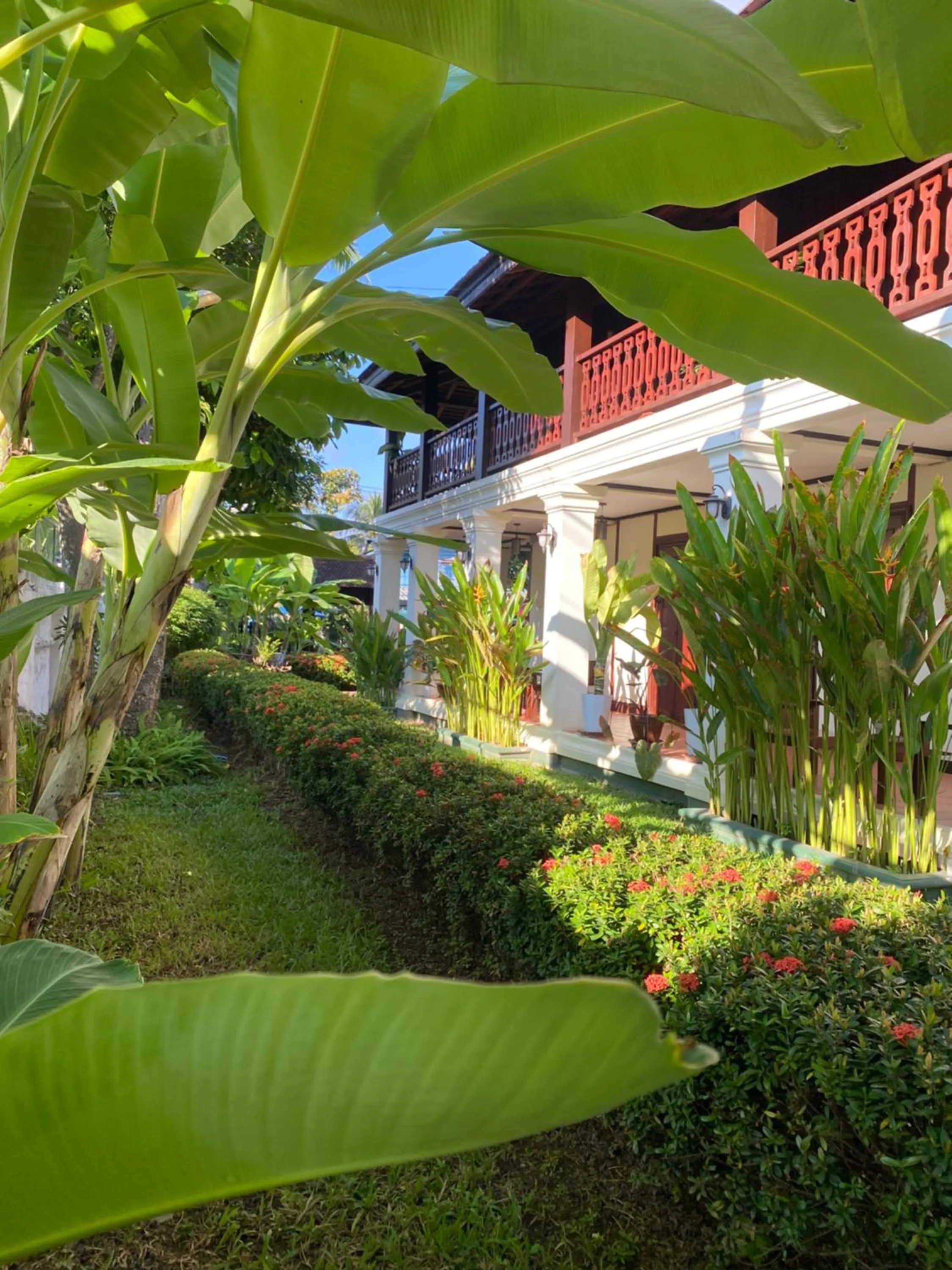 Garden in Luang Prabang Residence & Travel