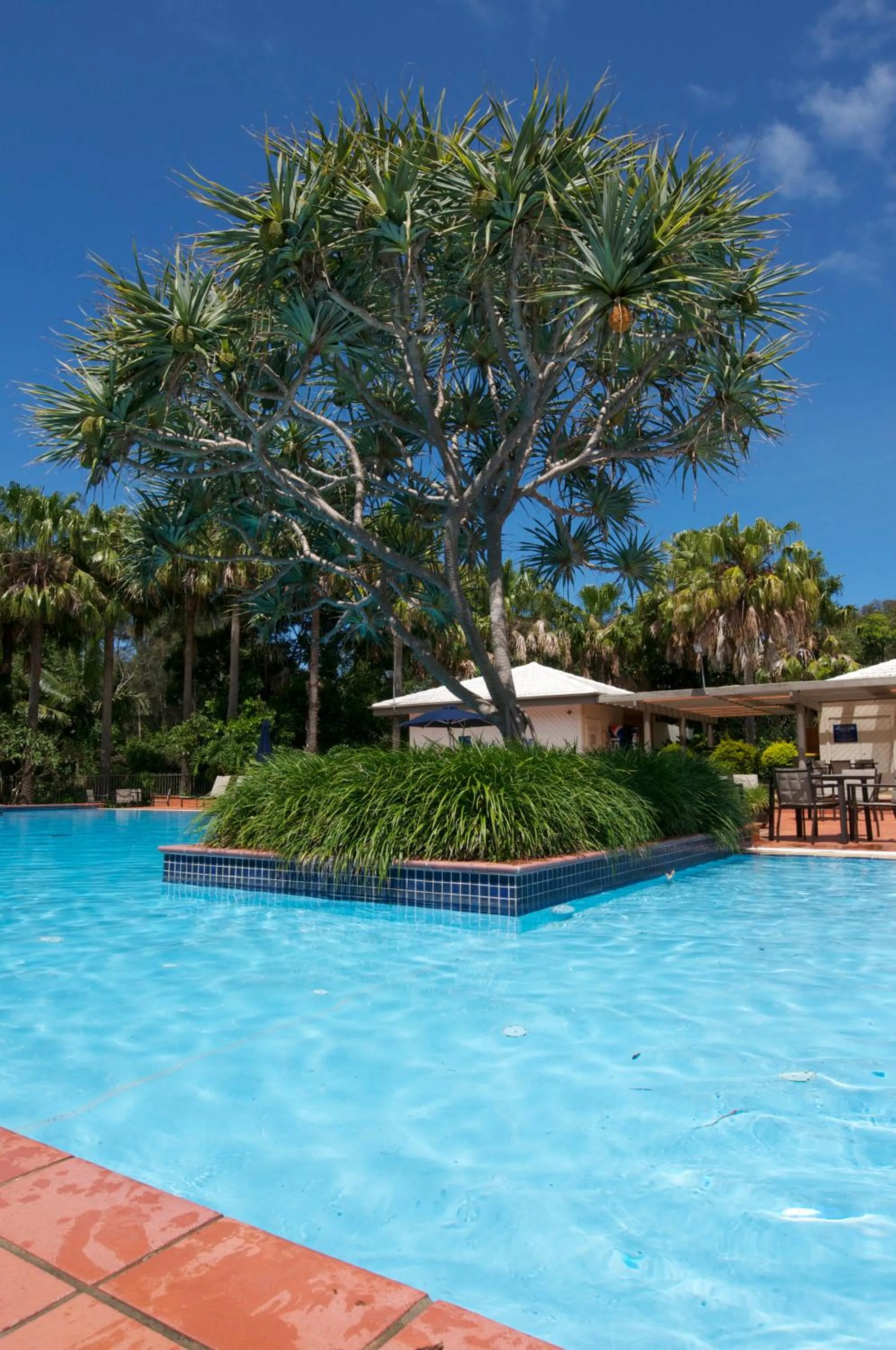 Swimming pool in Club Wyndham Coffs Harbour Terraces