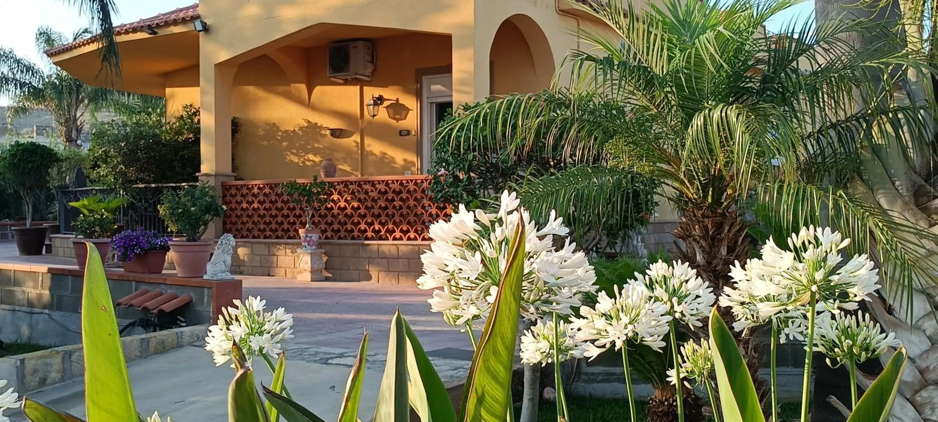 Property building in Villa Concordia