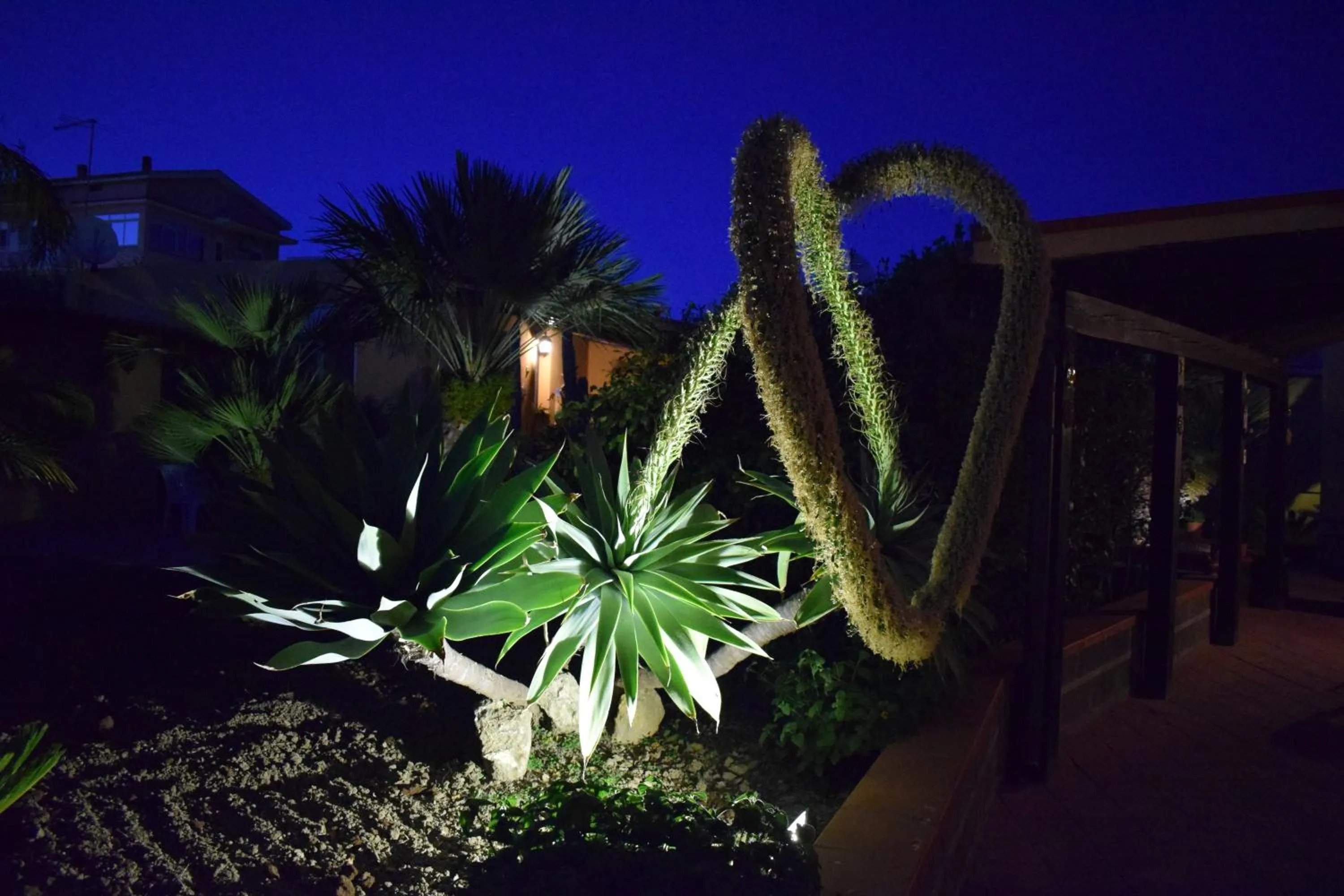 Garden in Villa Concordia