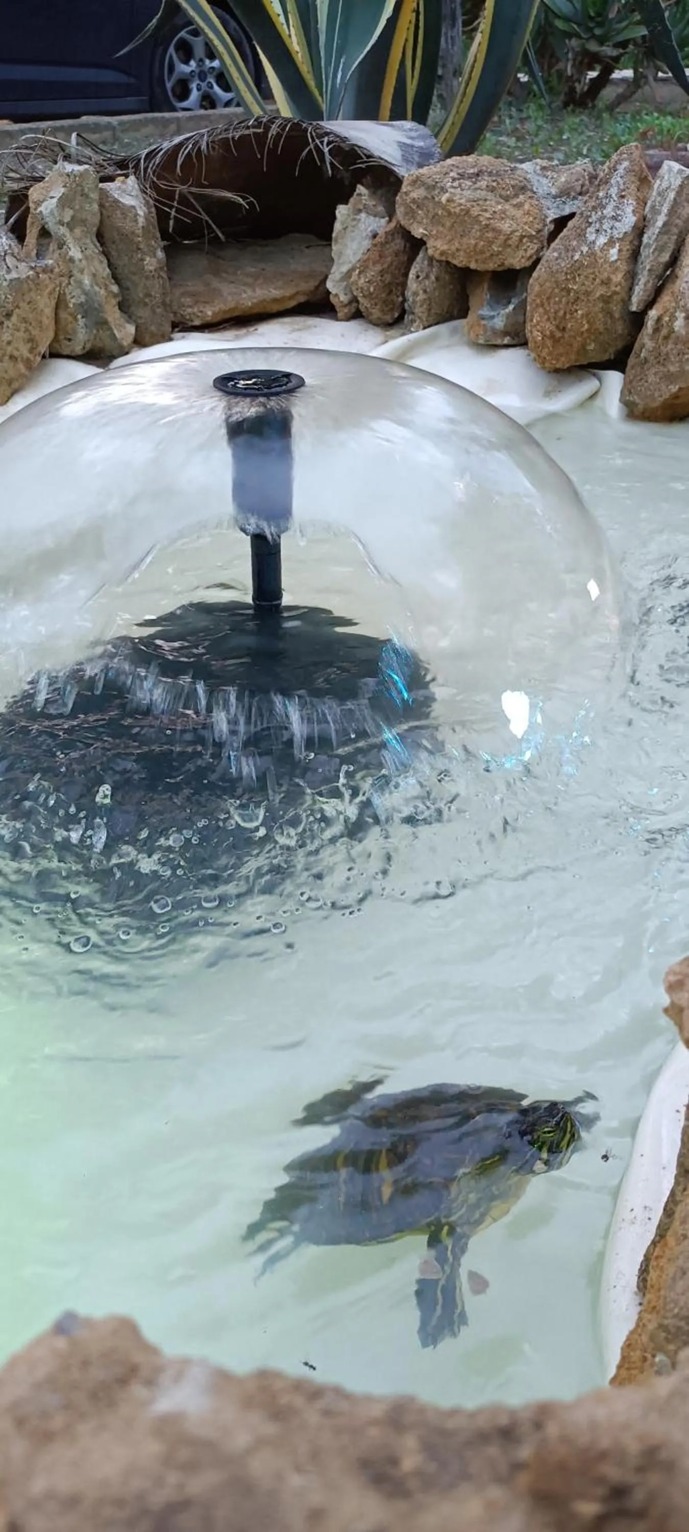 Garden in Villa Concordia