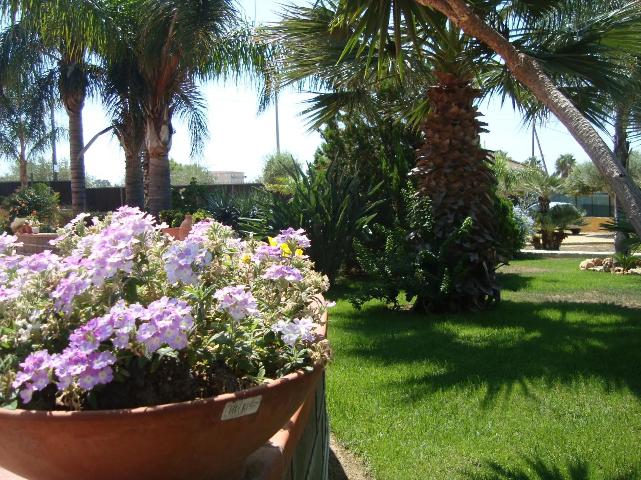 Garden view in Villa Concordia