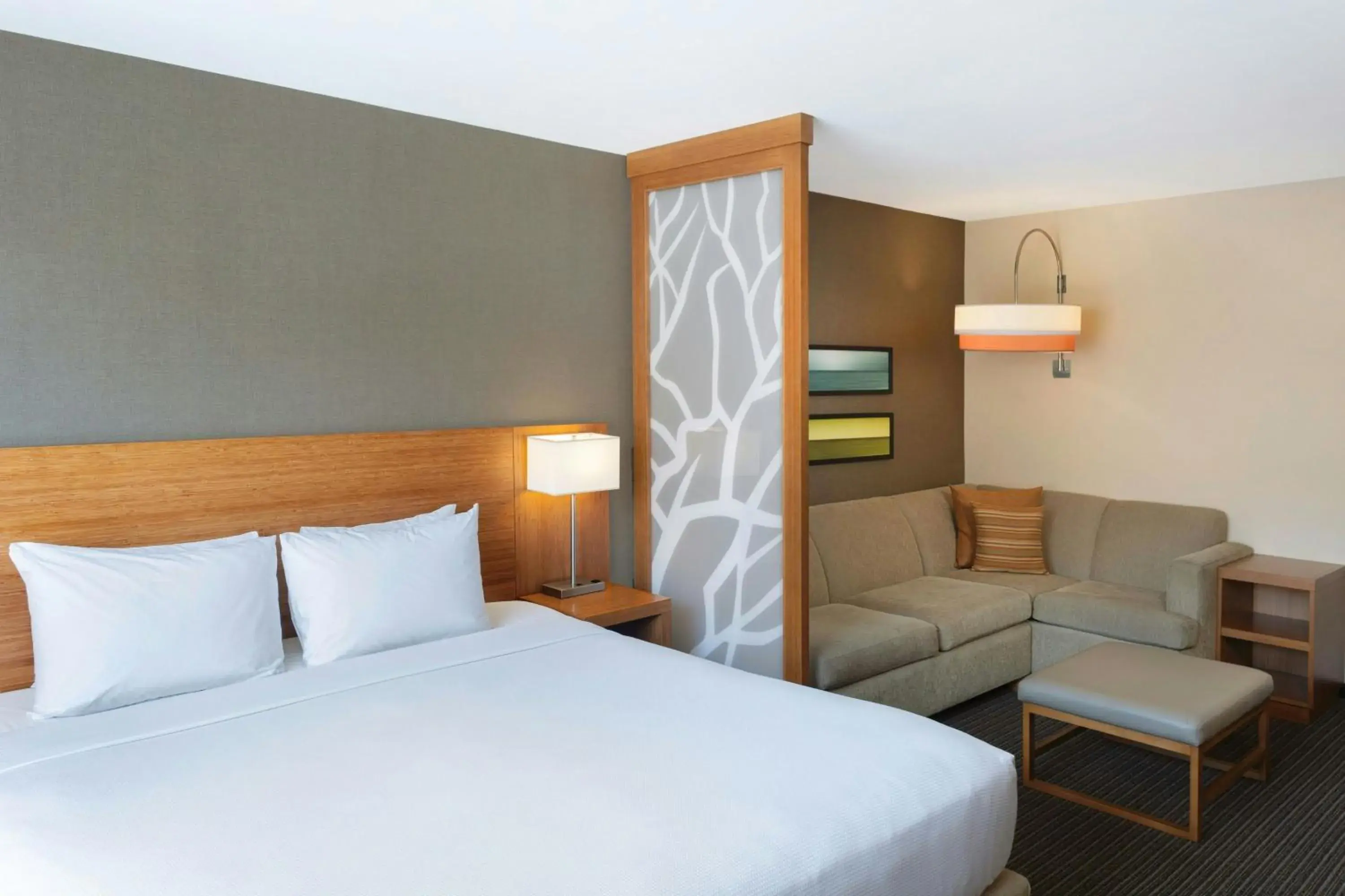 Photo of the whole room, Bed in Hyatt Place La Paz Photo of the whole room, Bed in Hyatt Place La Paz