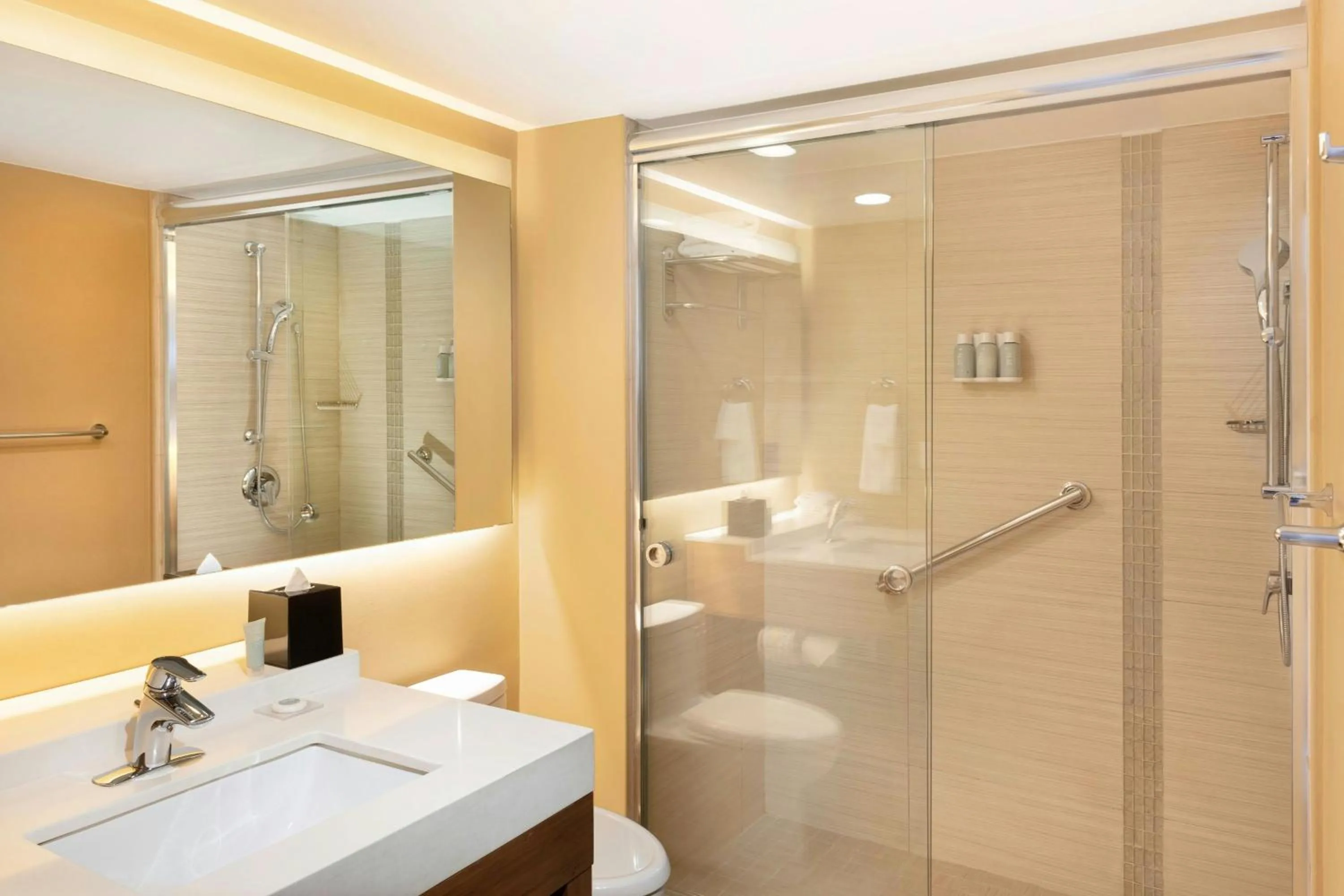 Bathroom in Hyatt Place La Paz