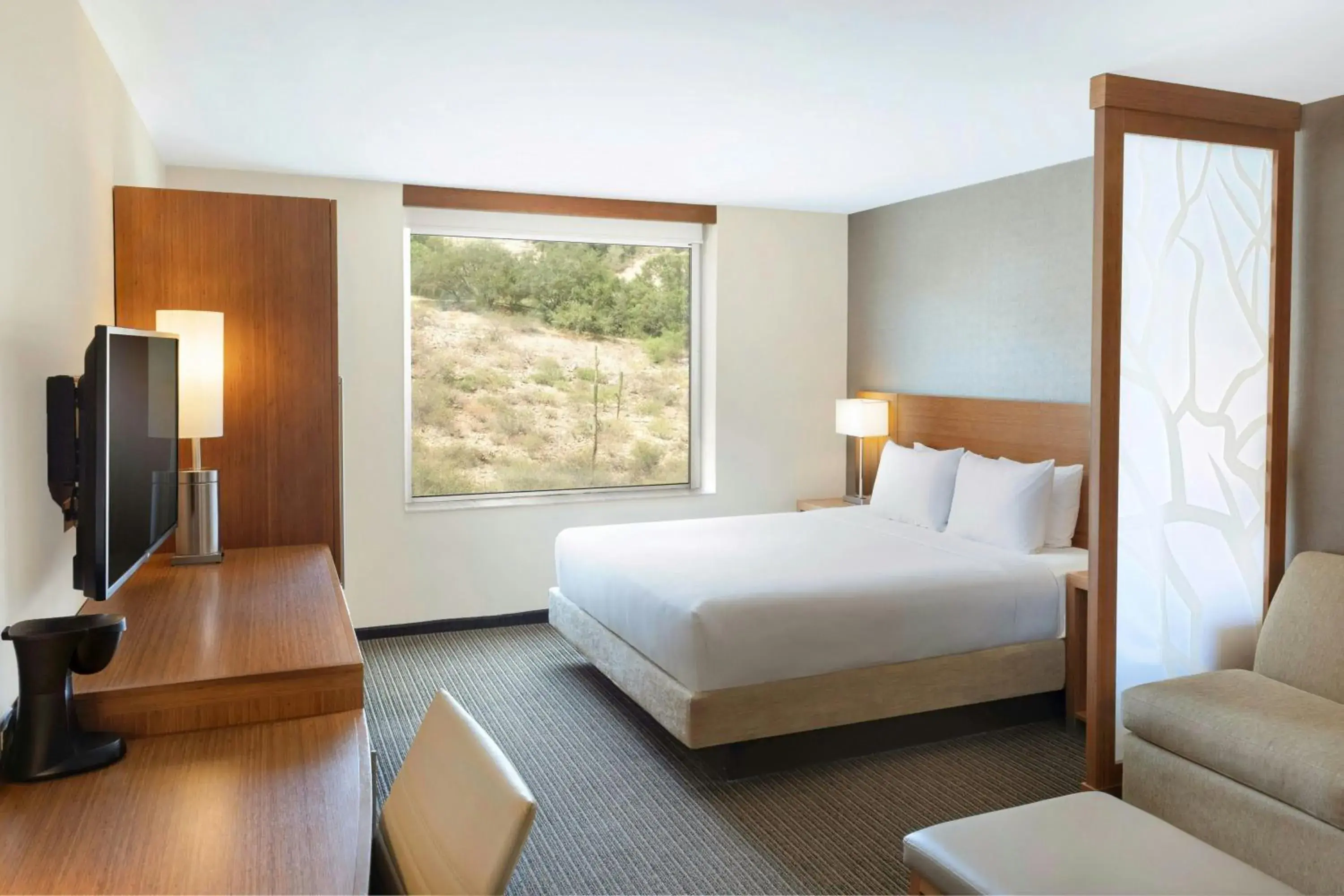 Photo of the whole room, Bed in Hyatt Place La Paz Photo of the whole room, Bed in Hyatt Place La Paz